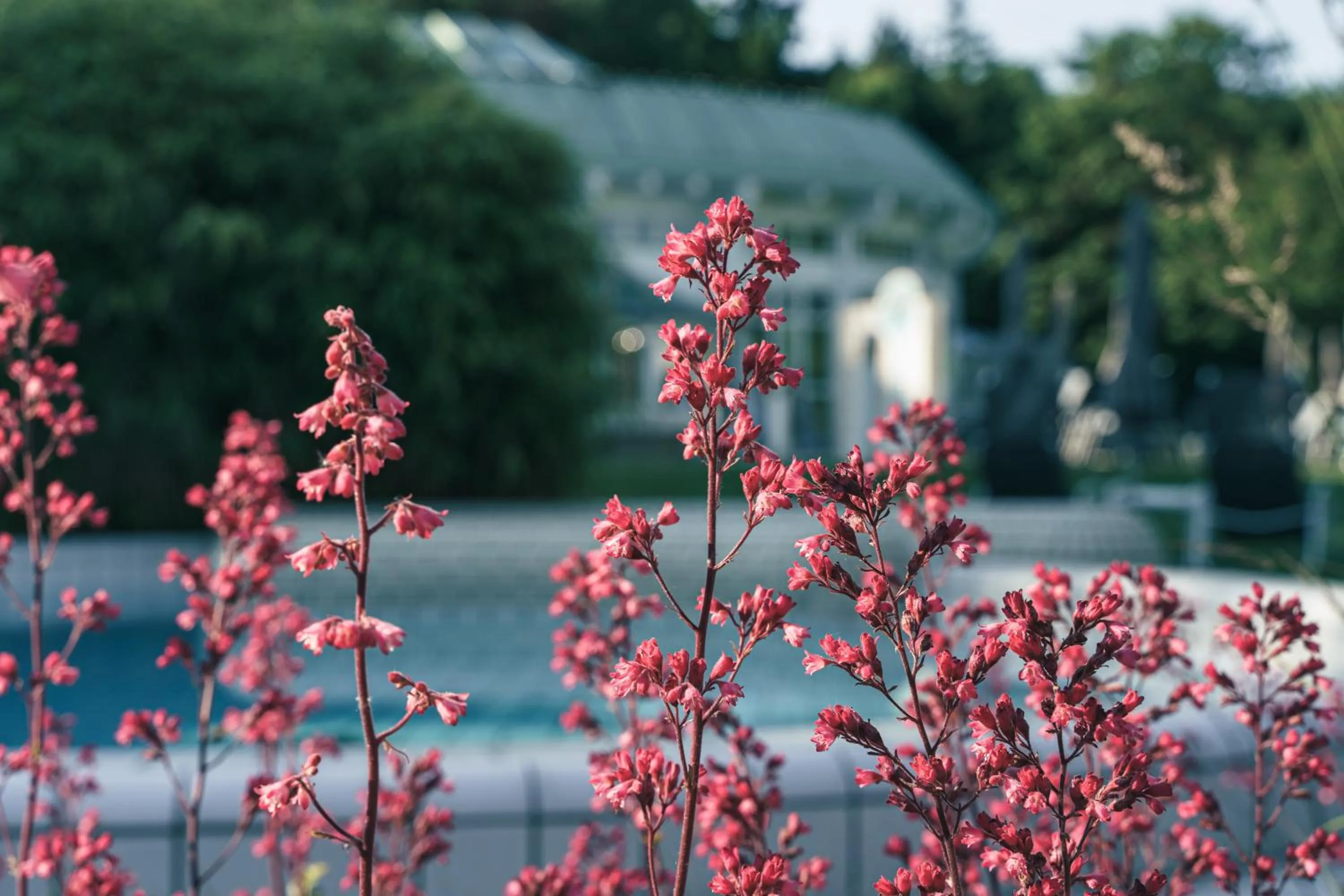 Summer in Reduce Hotel Thermal Adults only