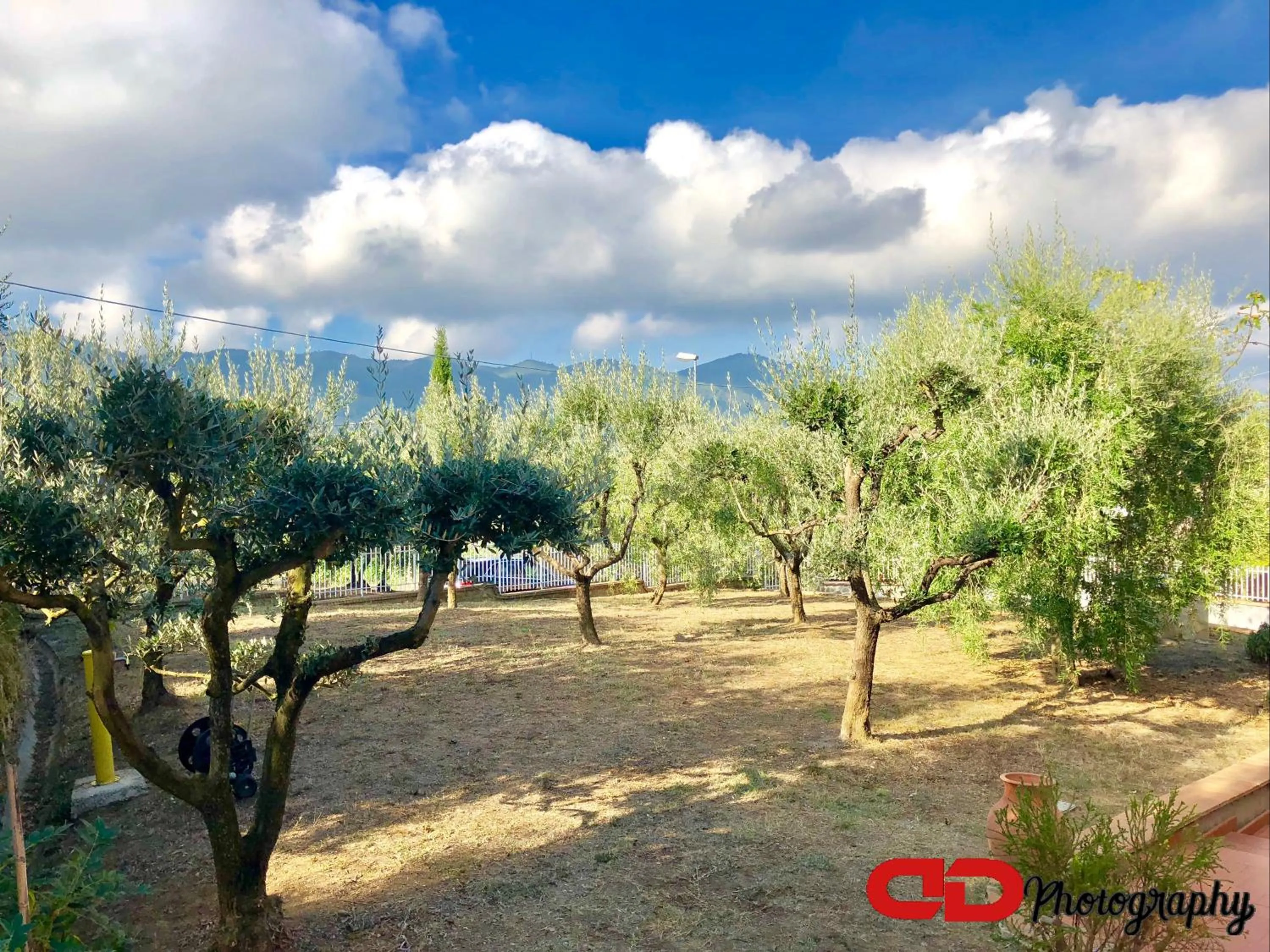 Garden view in B&B Orsobigio