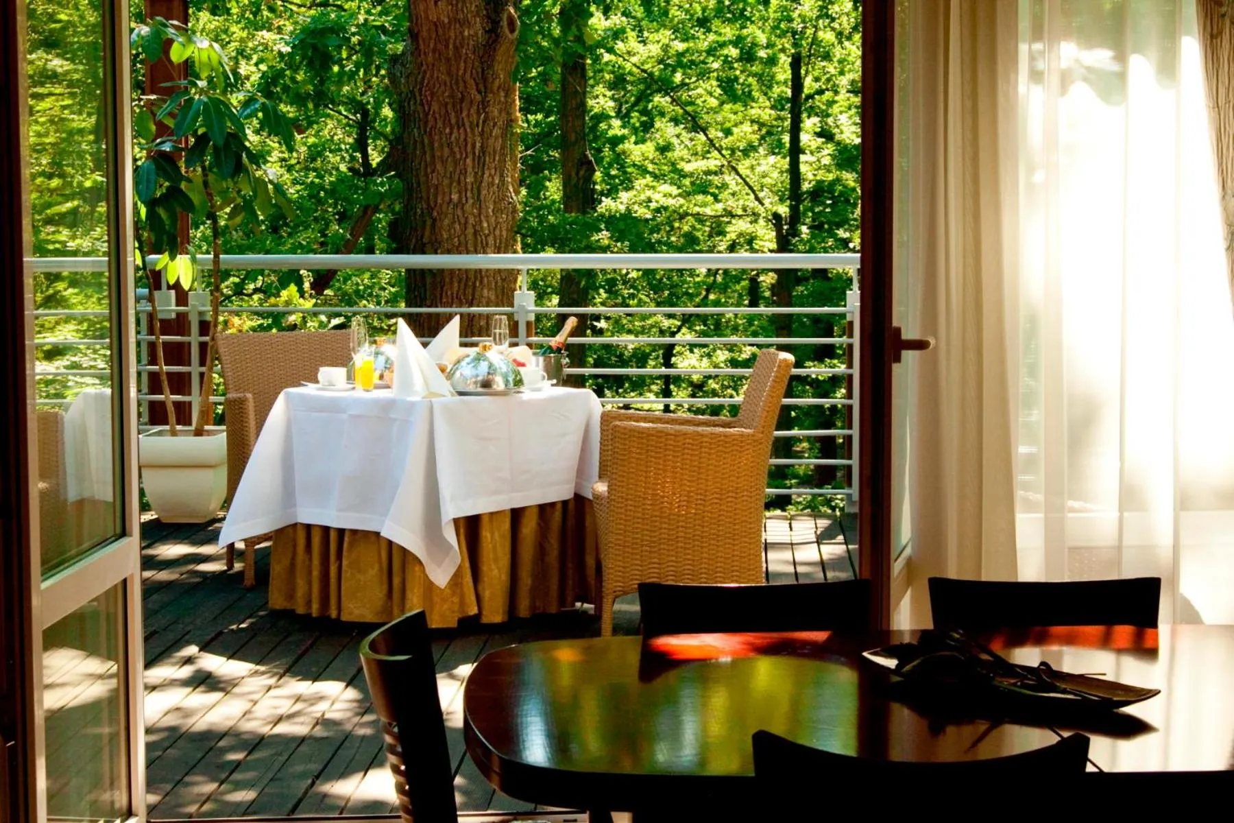 Restaurant/places to eat in Hotel Mościcki