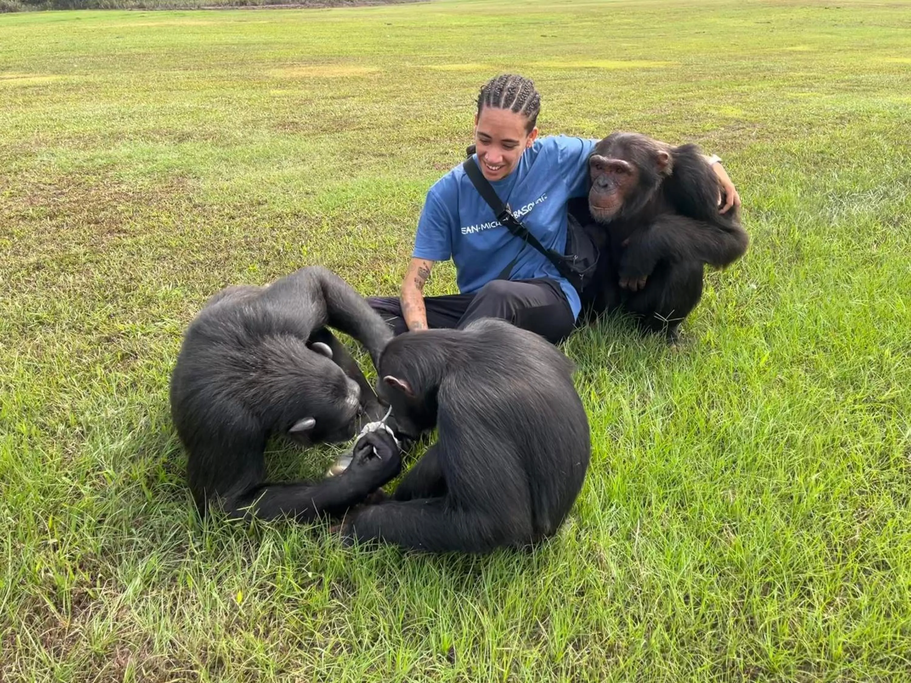 Animals in Grand Hotel Djibloho