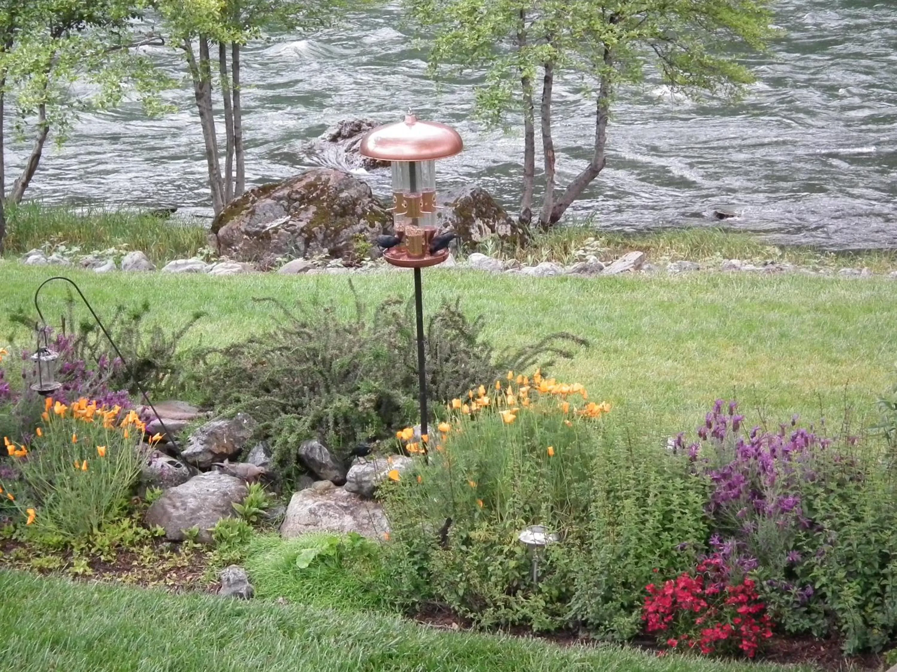 River view in Strawhouse Resorts