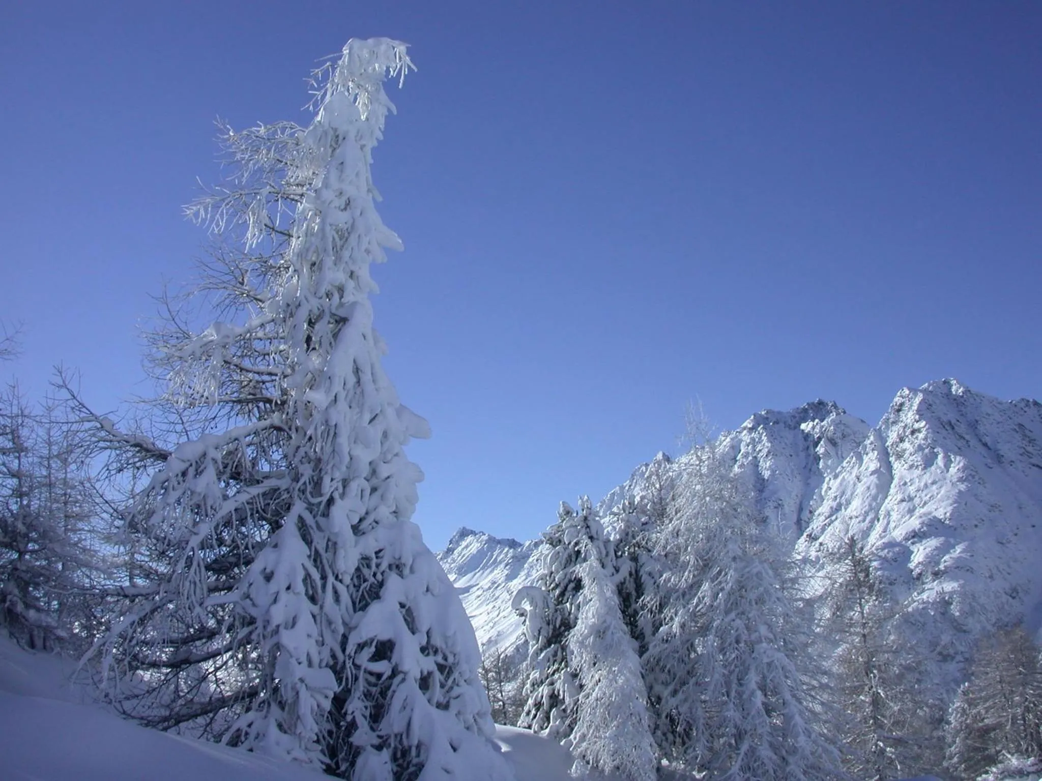 Garden view in Seiblishof Superior Hotel Ischgl