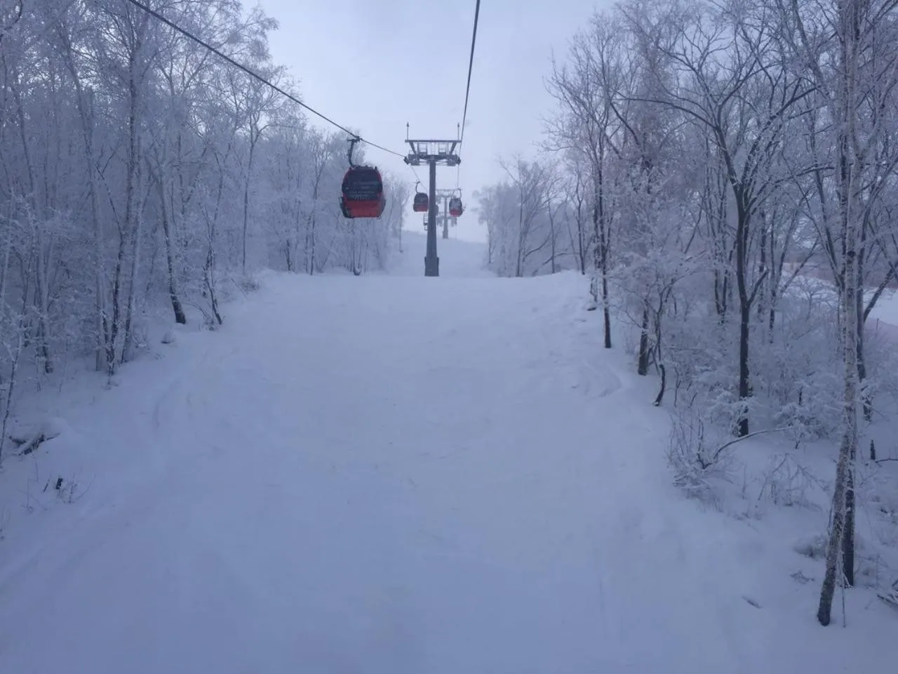 Skiing in Songhua Lake Qingshan Snow View Apartment
