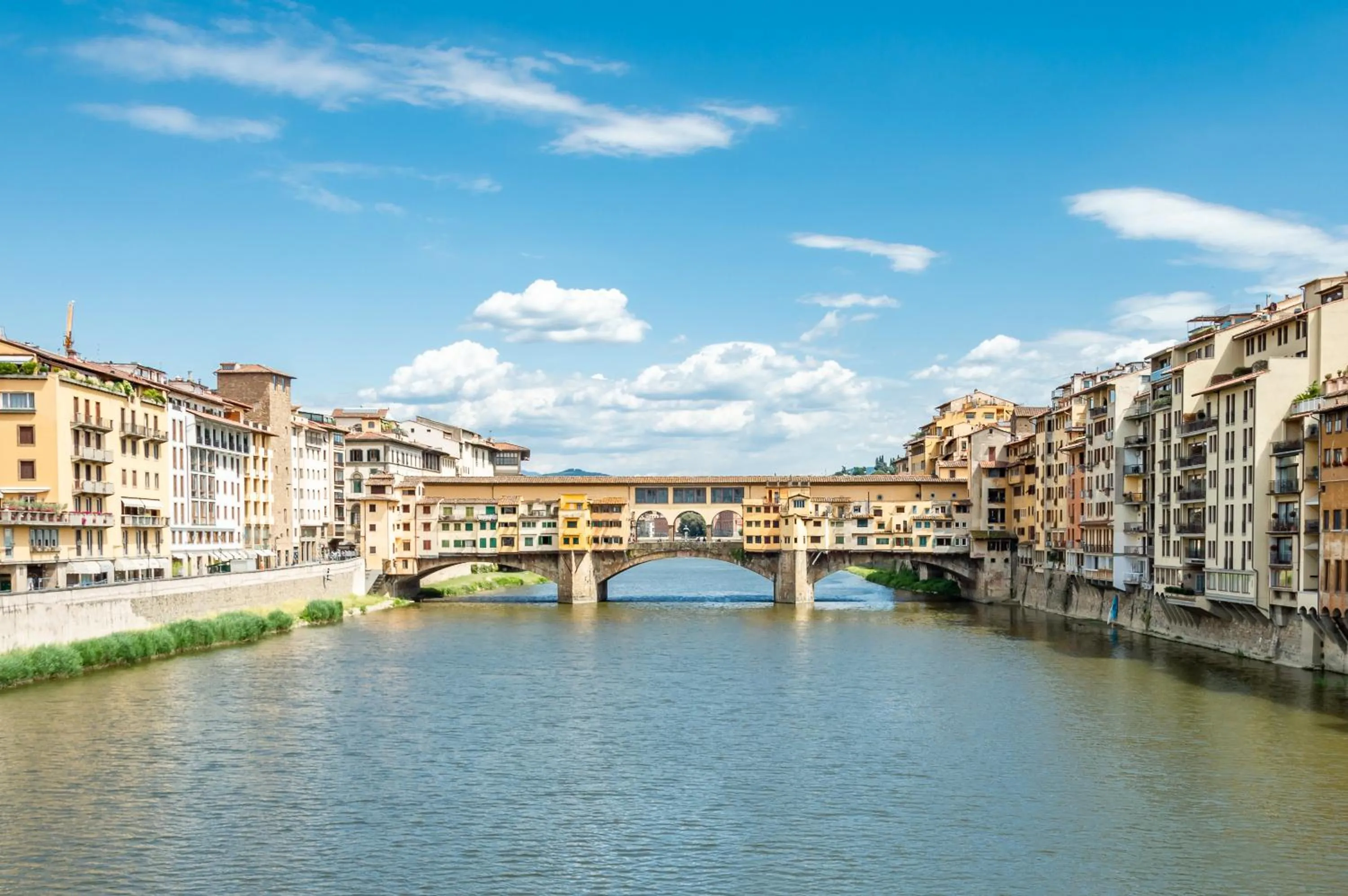 View (from property/room) in Wine Apartments Florence Ciliegiolo
