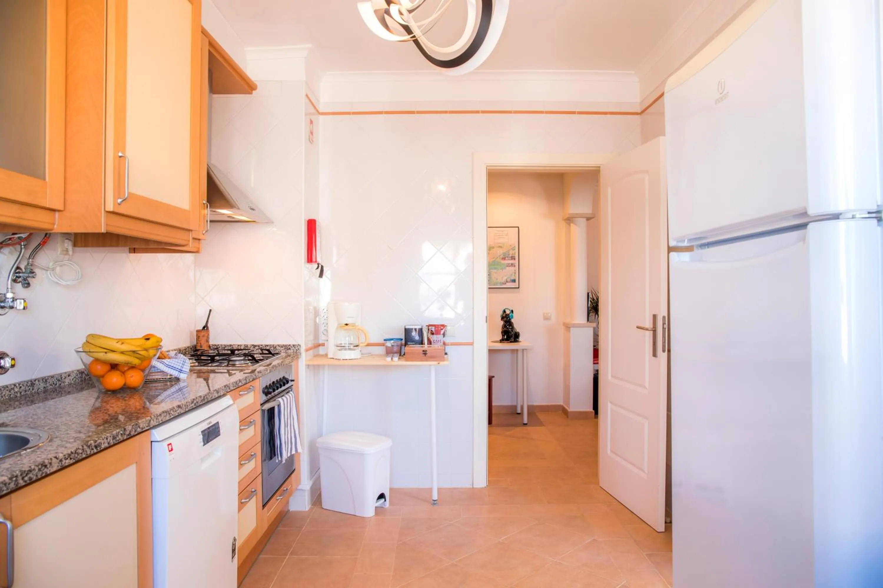 Kitchen or kitchenette in Vinyl Flat Bed & Breakfast - Rooms