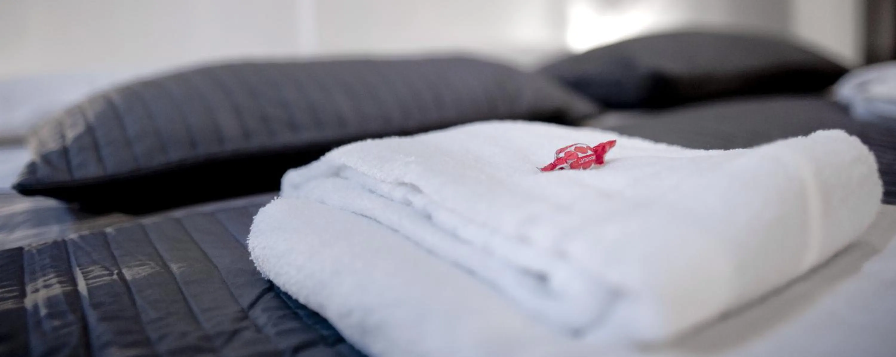 Photo of the whole room, Bed in TinkerBell GuestHouse