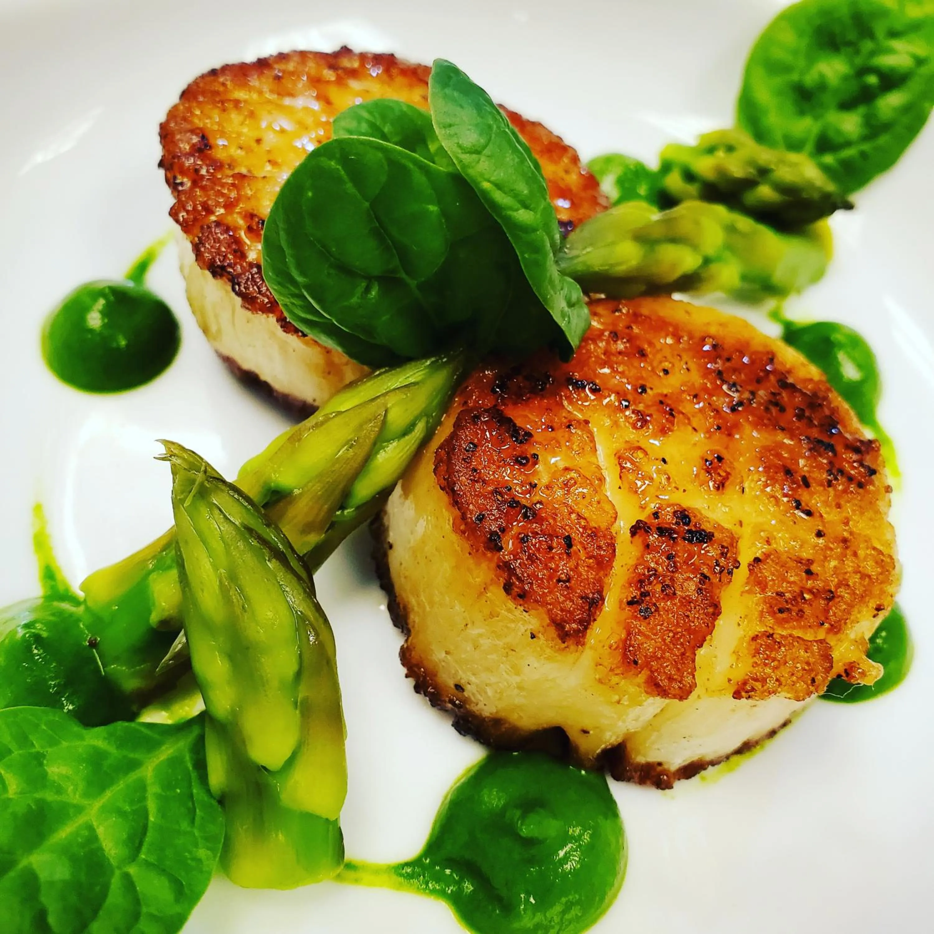 Food and drinks in Cadet Hotel