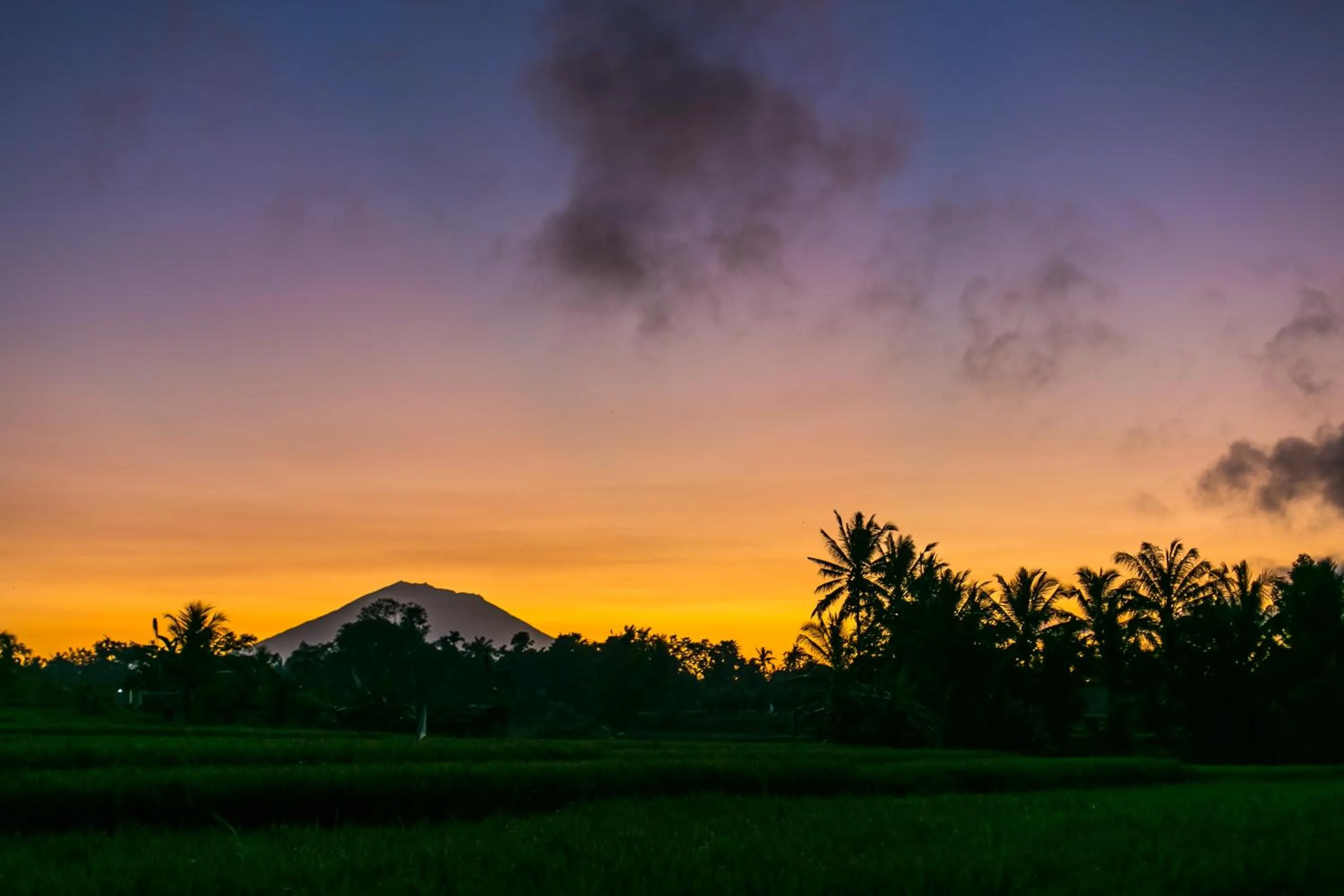 Natural landscape in Solo Villas & Retreat