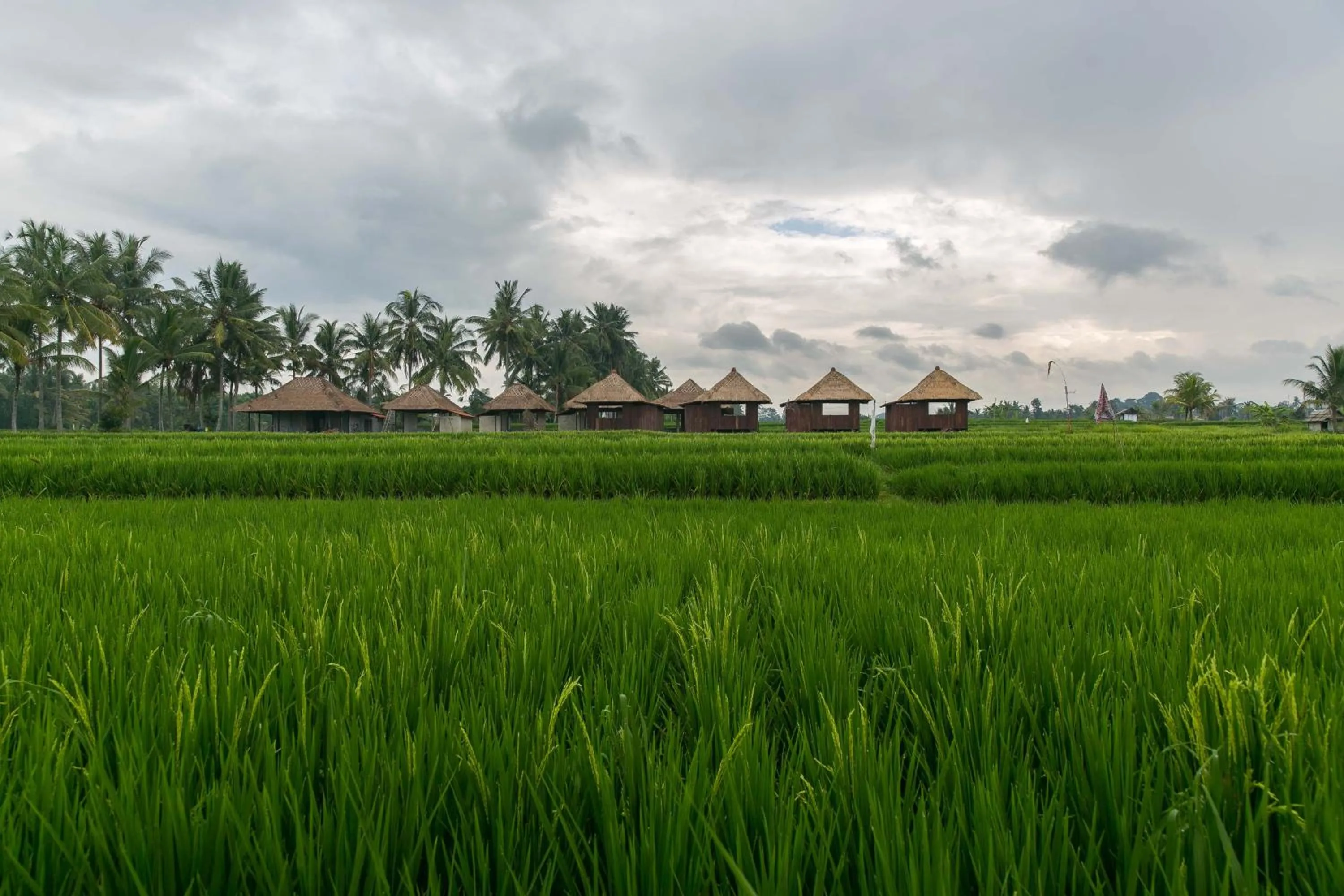 Garden view in Solo Villas & Retreat