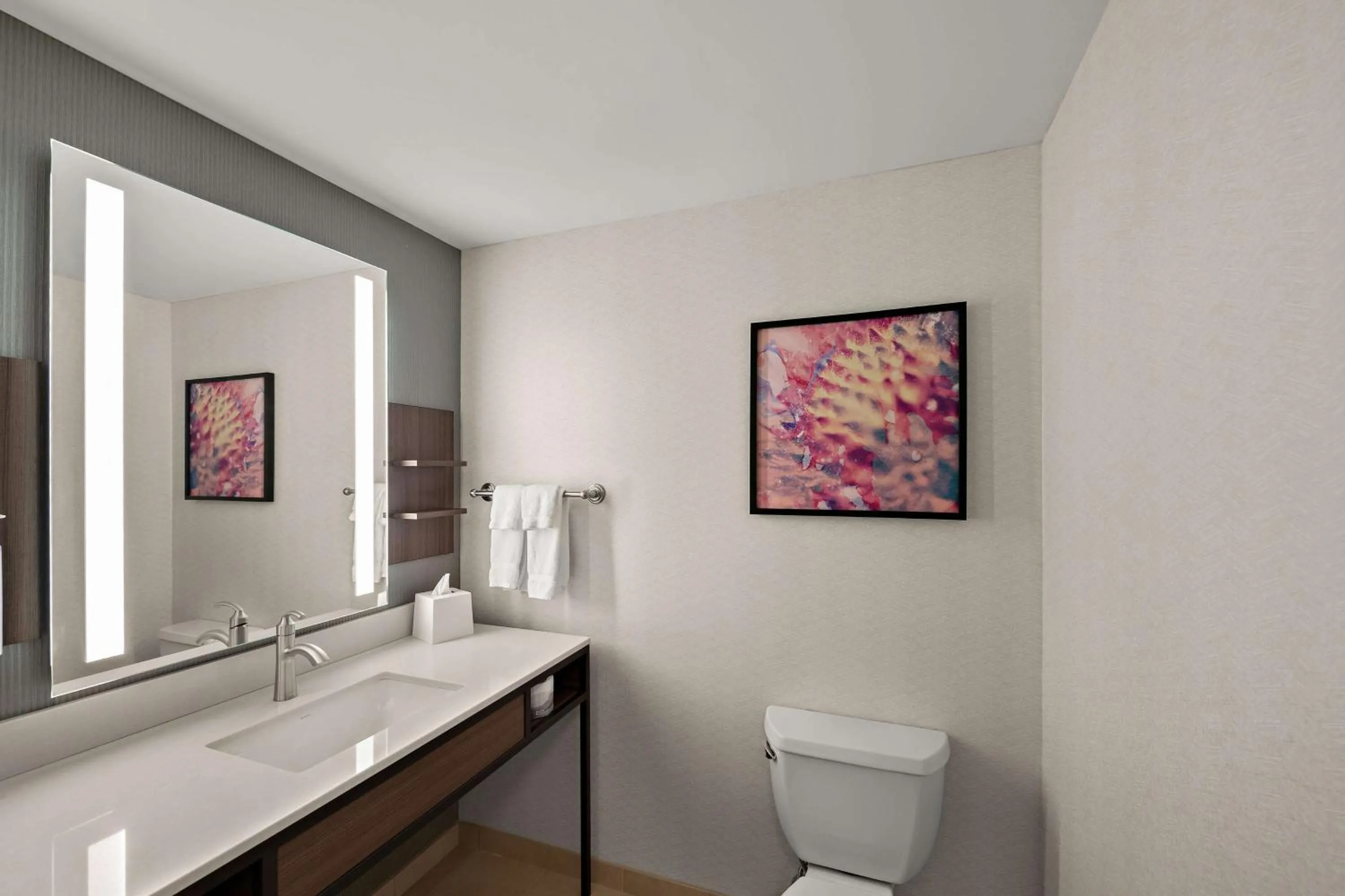 Bathroom in Hilton Garden Inn Omaha East/Council Bluffs