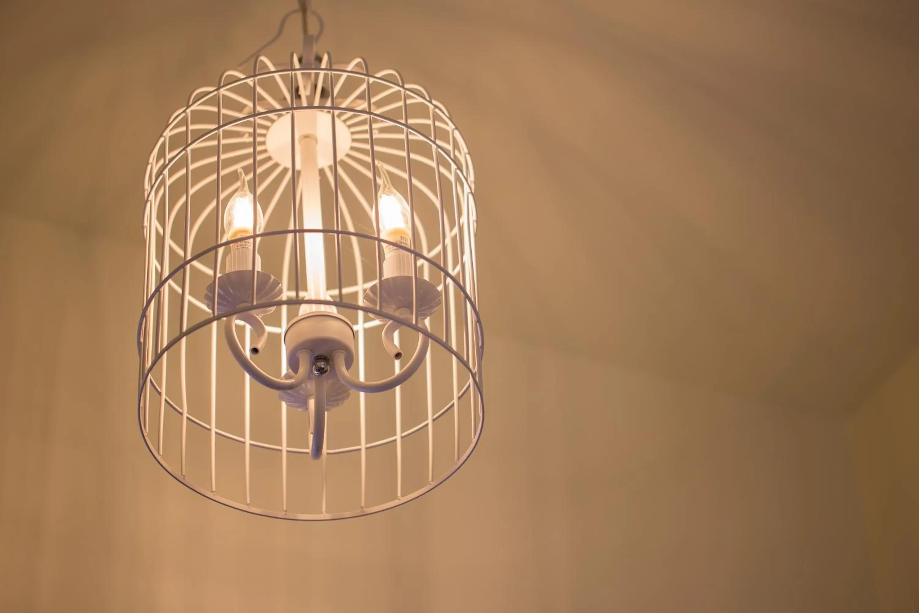 Decorative detail in BUDDY 35