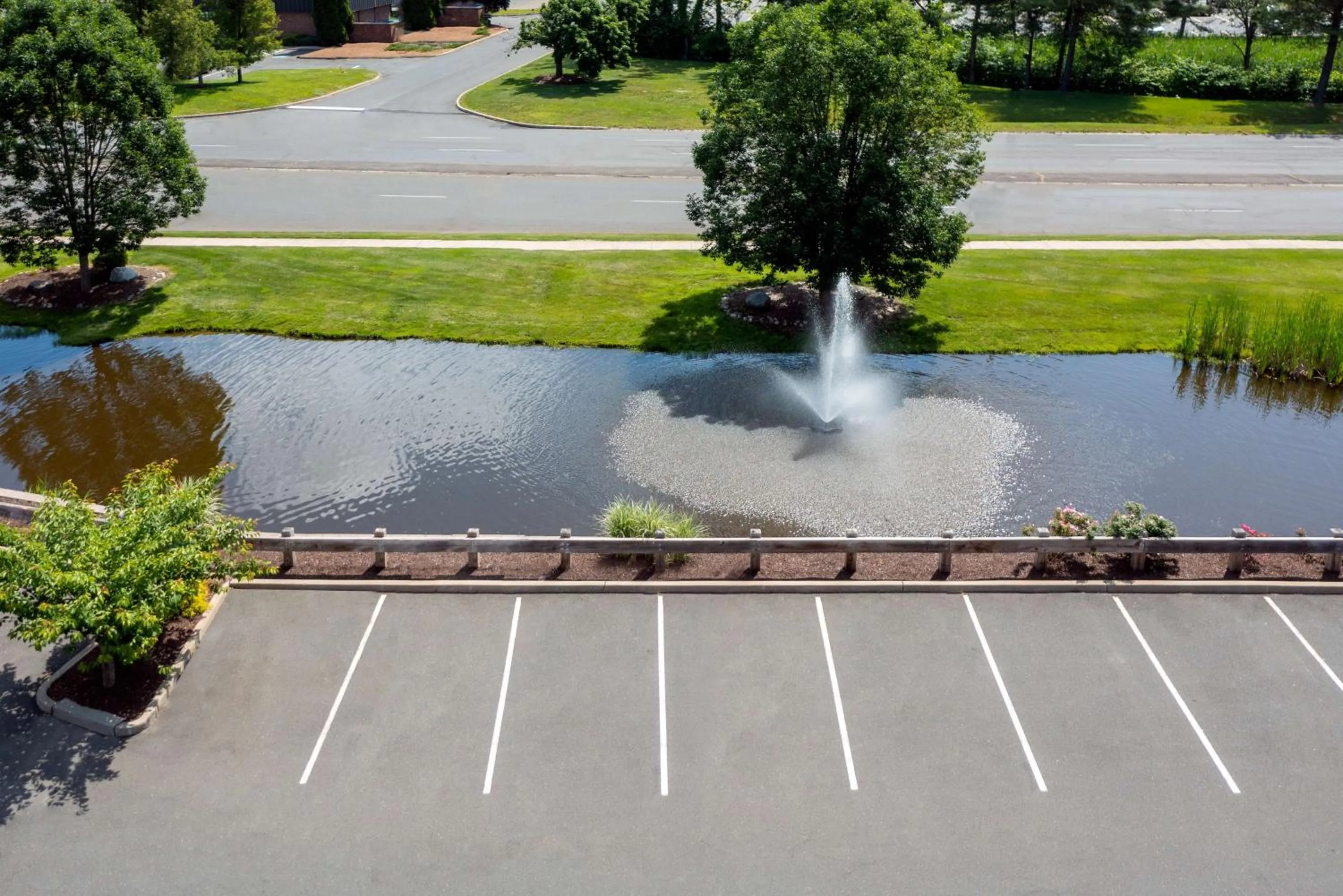 Garden in Hampton Inn Springfield South Enfield