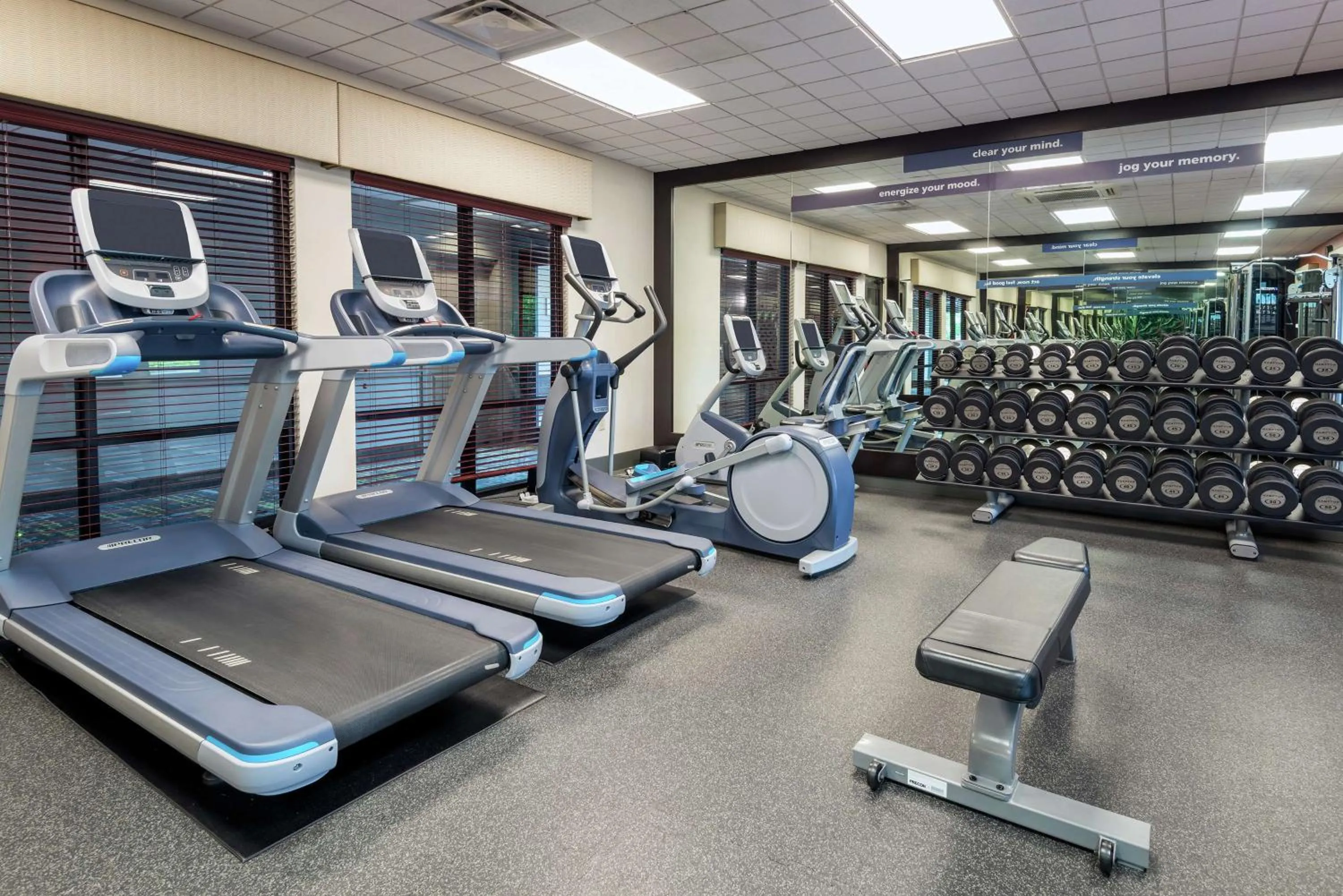 Fitness centre/facilities in Hampton Inn Springfield South Enfield