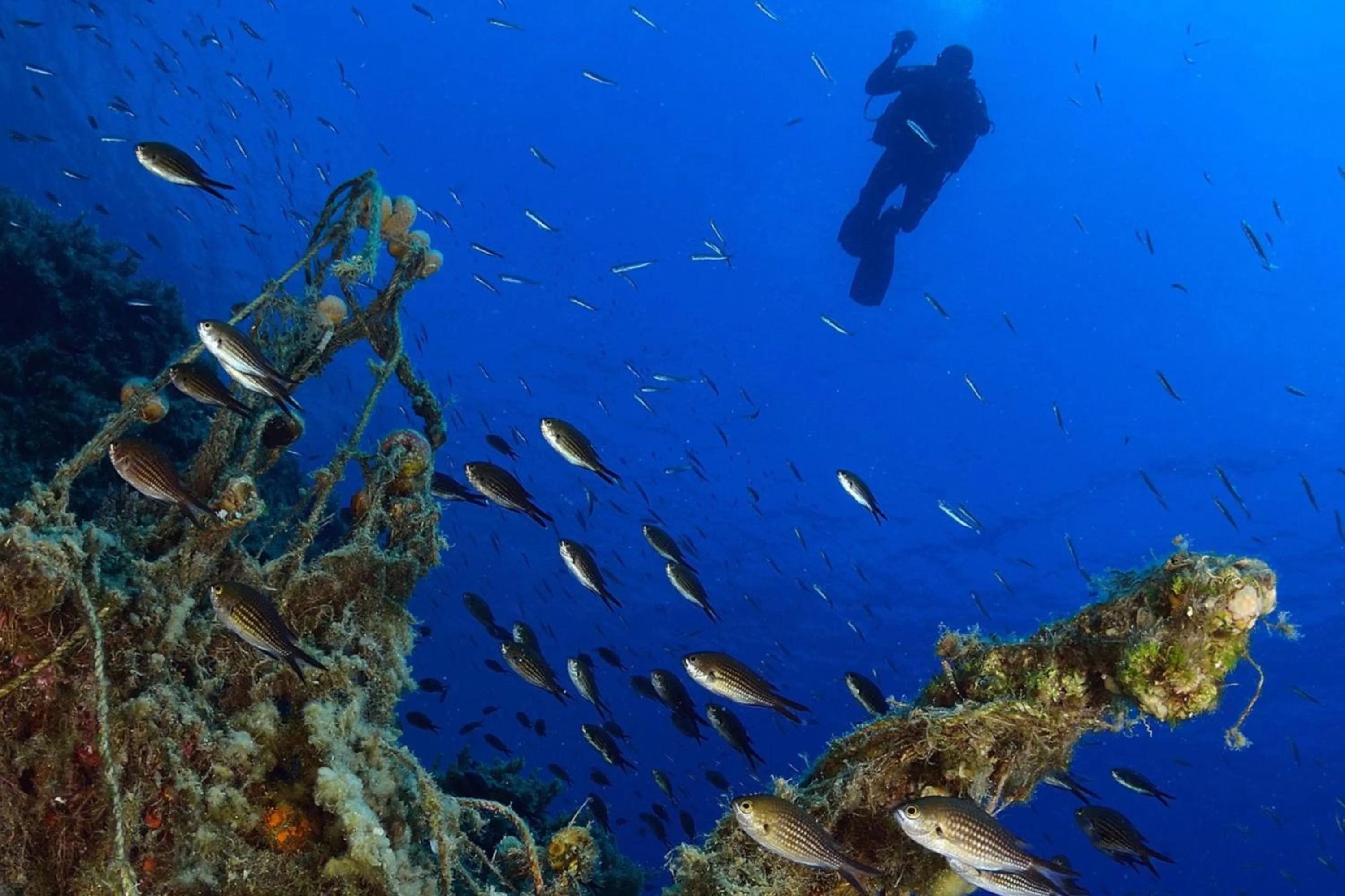 Other in The Romanos, a Luxury Collection Resort, Costa Navarino