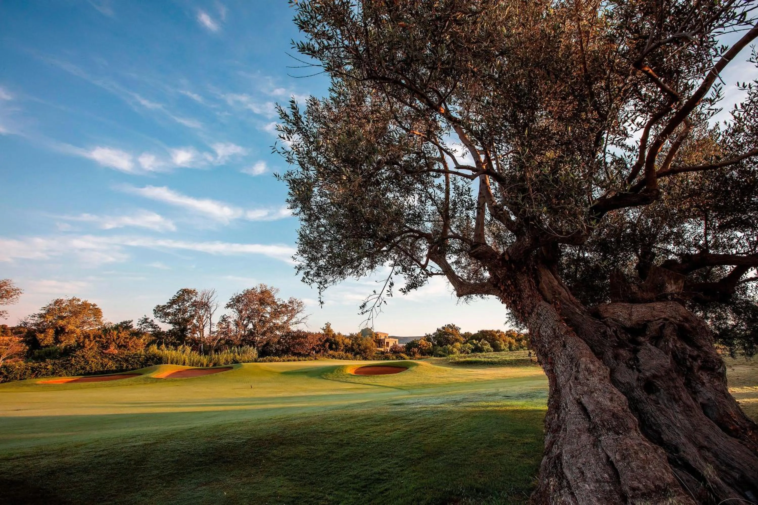 Other in The Romanos, a Luxury Collection Resort, Costa Navarino