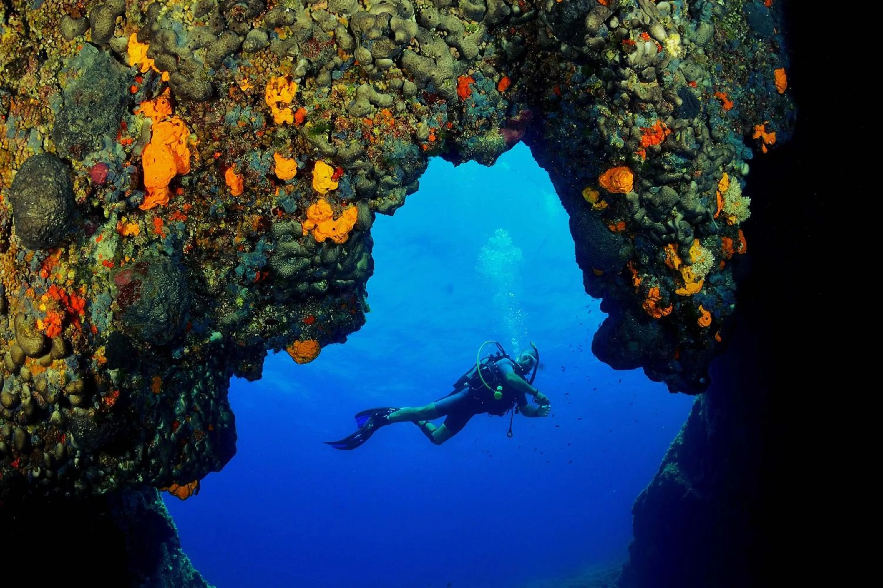 Other in The Westin Resort, Costa Navarino