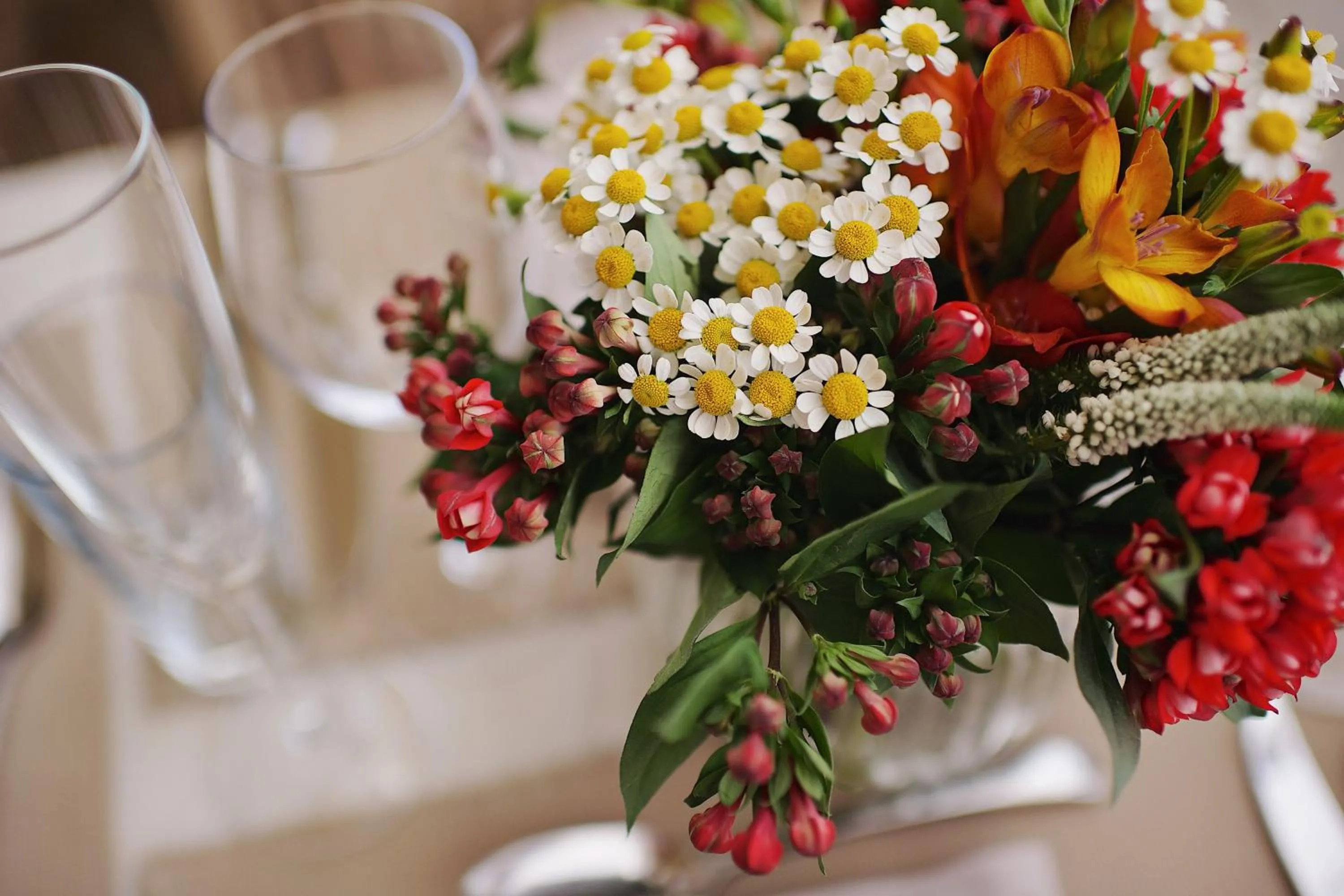 Lounge or bar in The Westin Resort, Costa Navarino