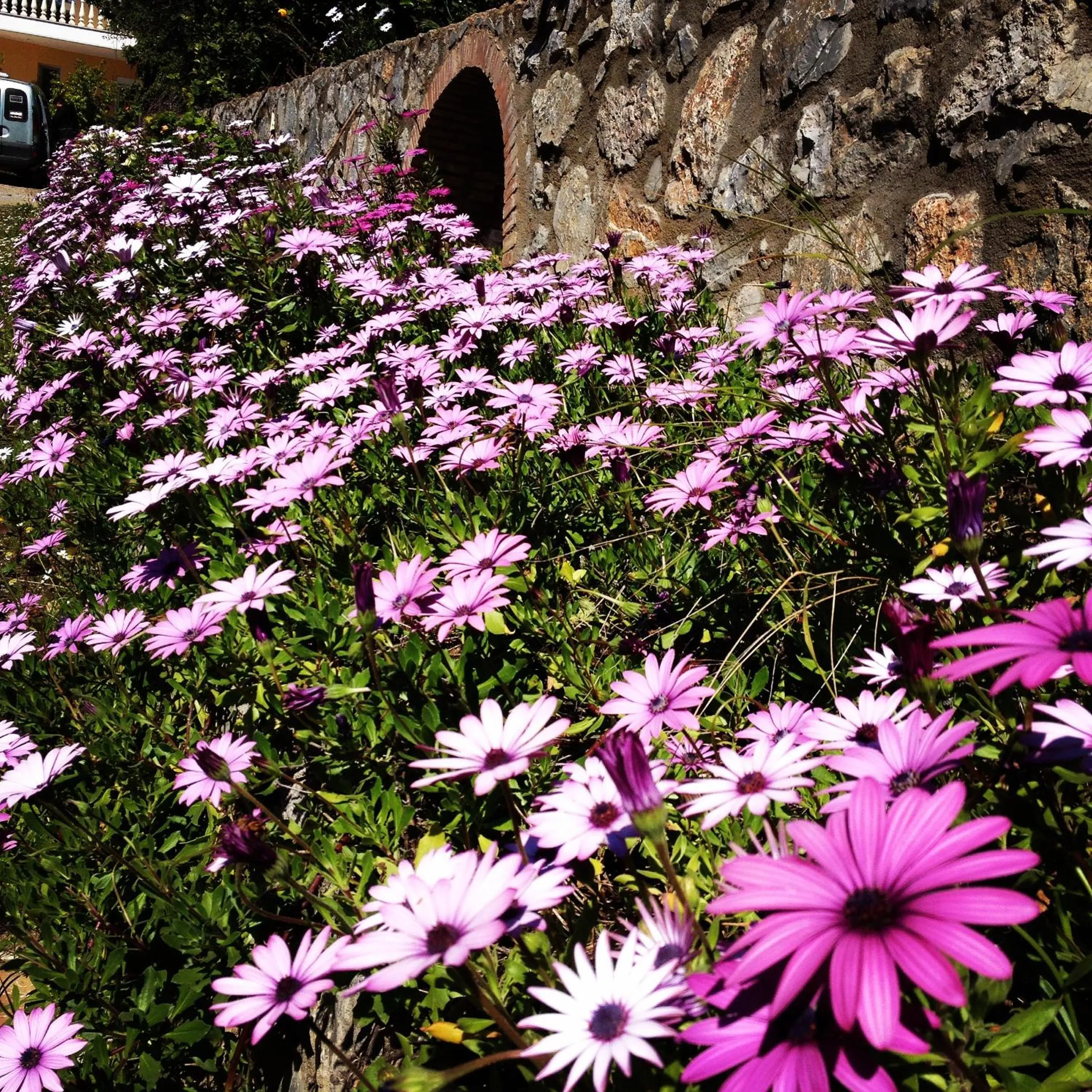 Patio in Verga Apartments & Suites