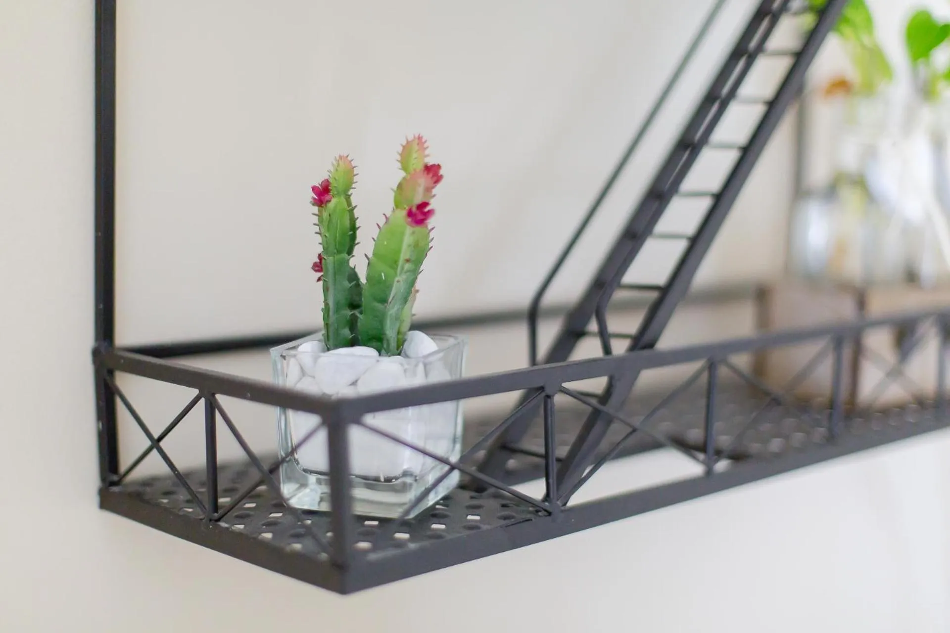 Decorative detail in B&B Le City