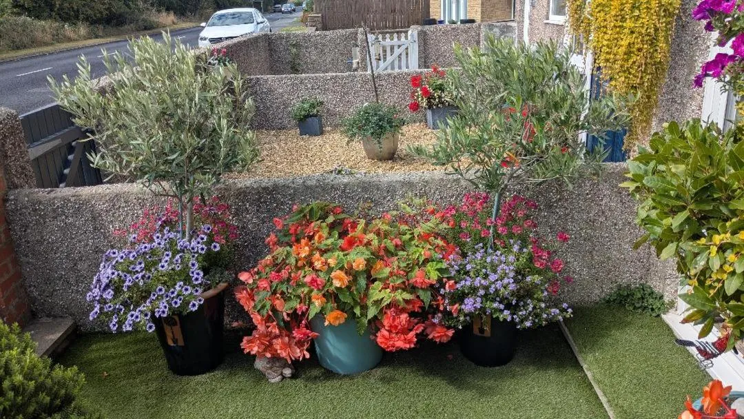 Garden in The Bridges B&B