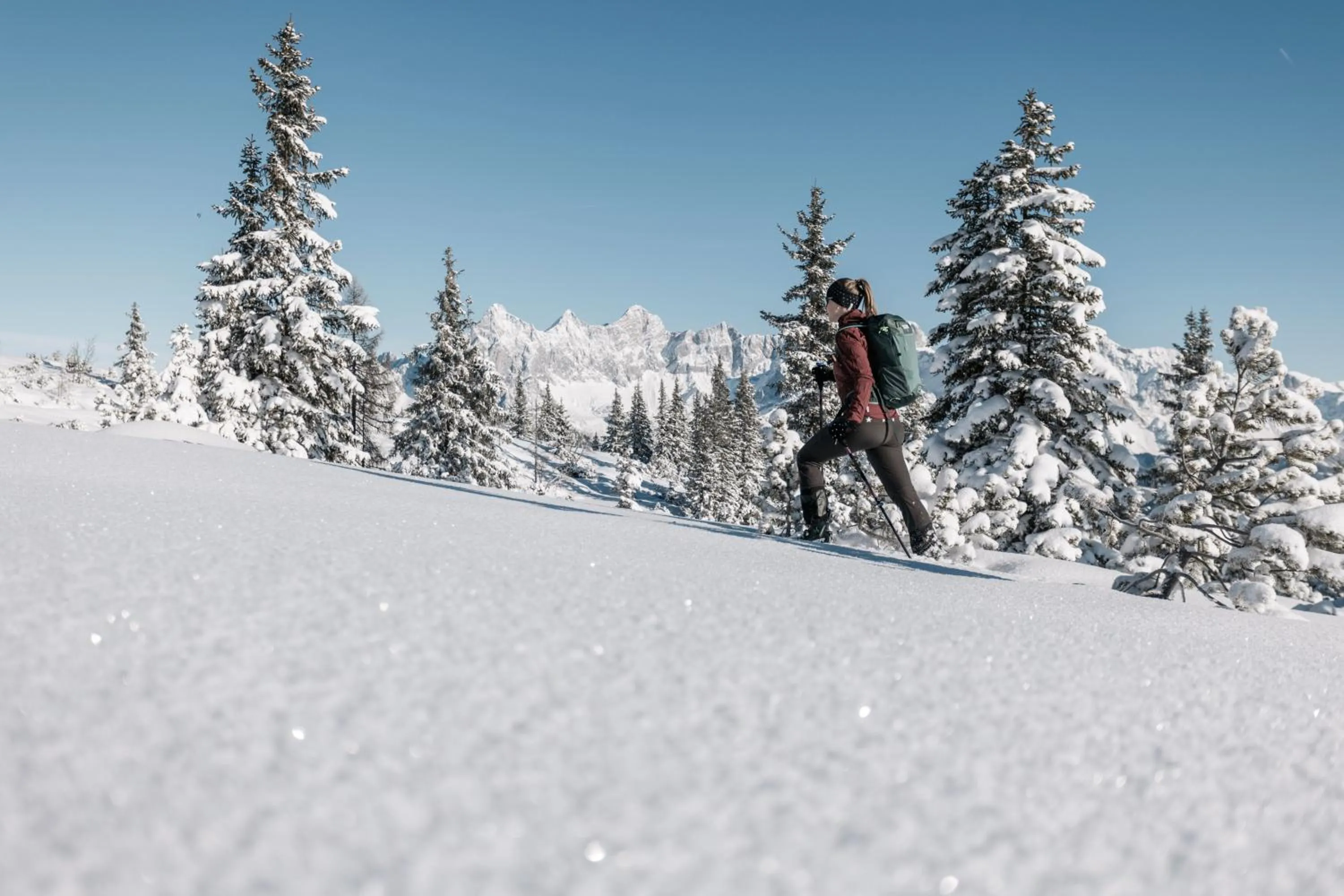 Winter in Natur & Familienhotel Der Stieglerhof