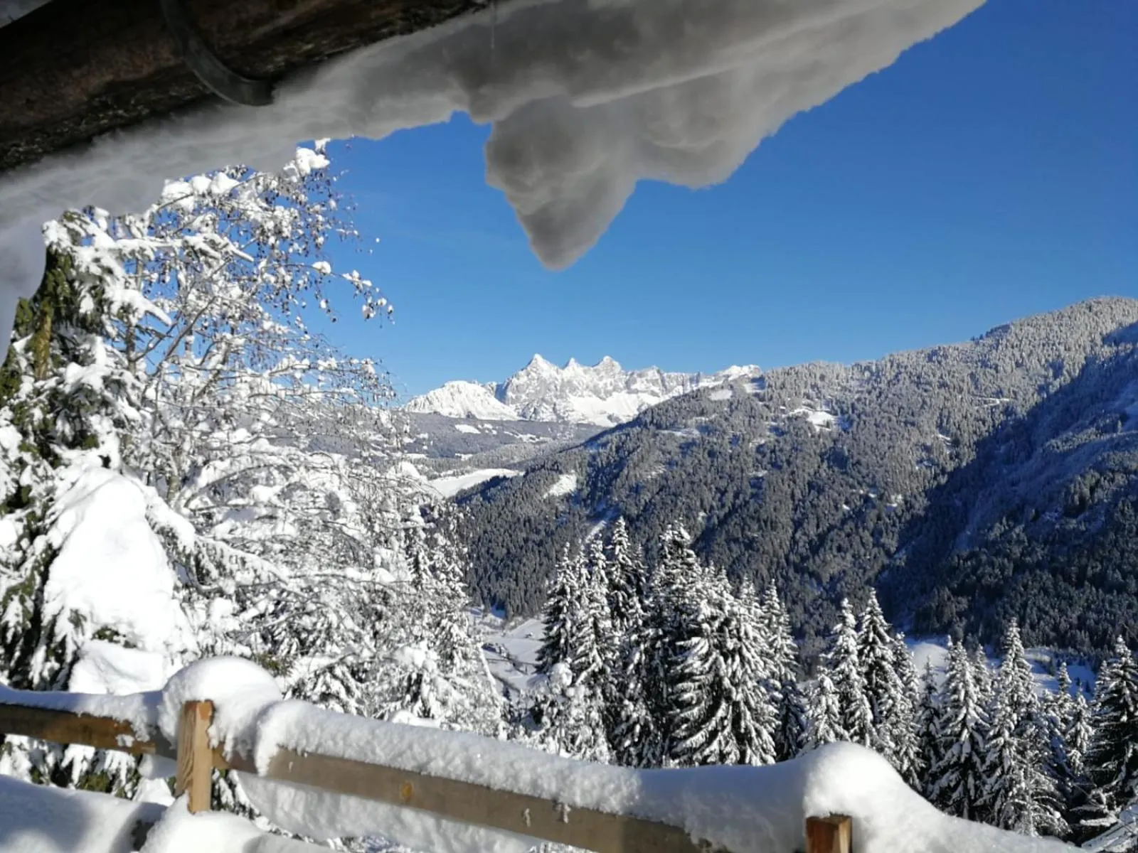Winter in Natur & Familienhotel Der Stieglerhof