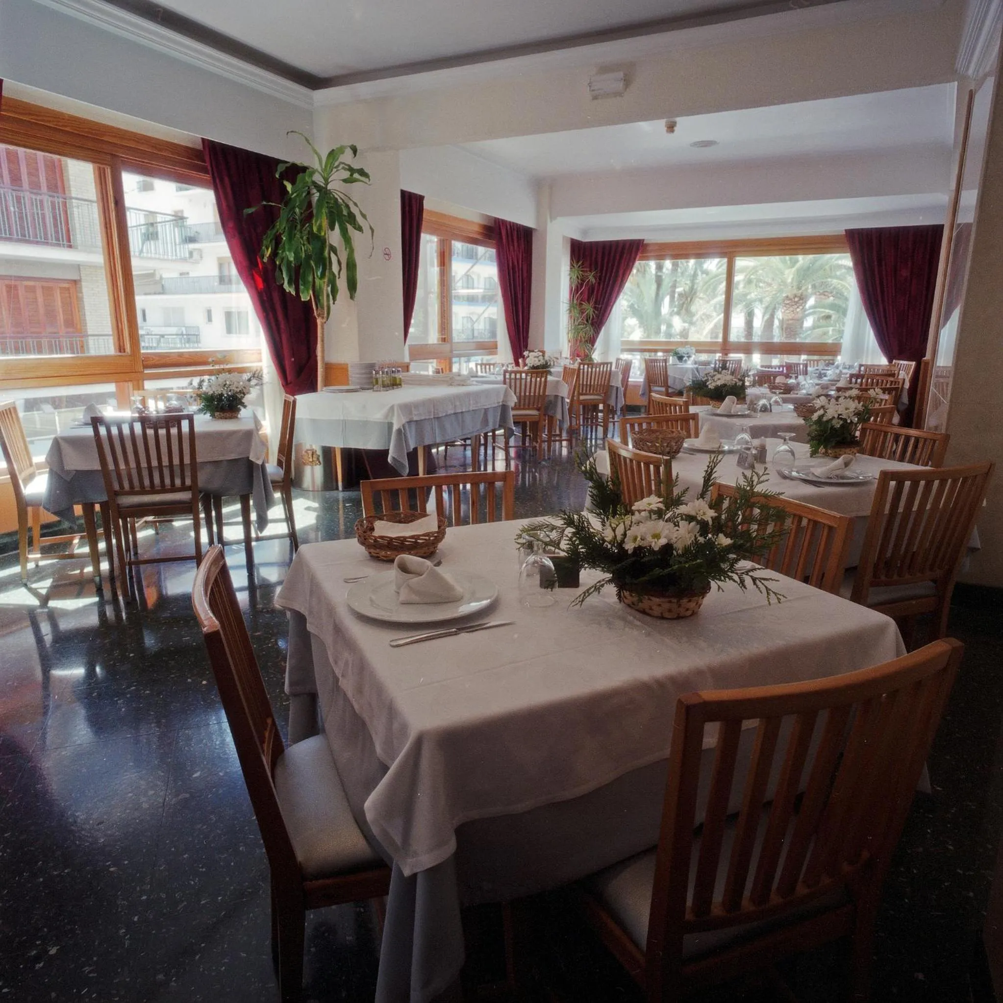 Restaurant/places to eat in Hotel Tanit