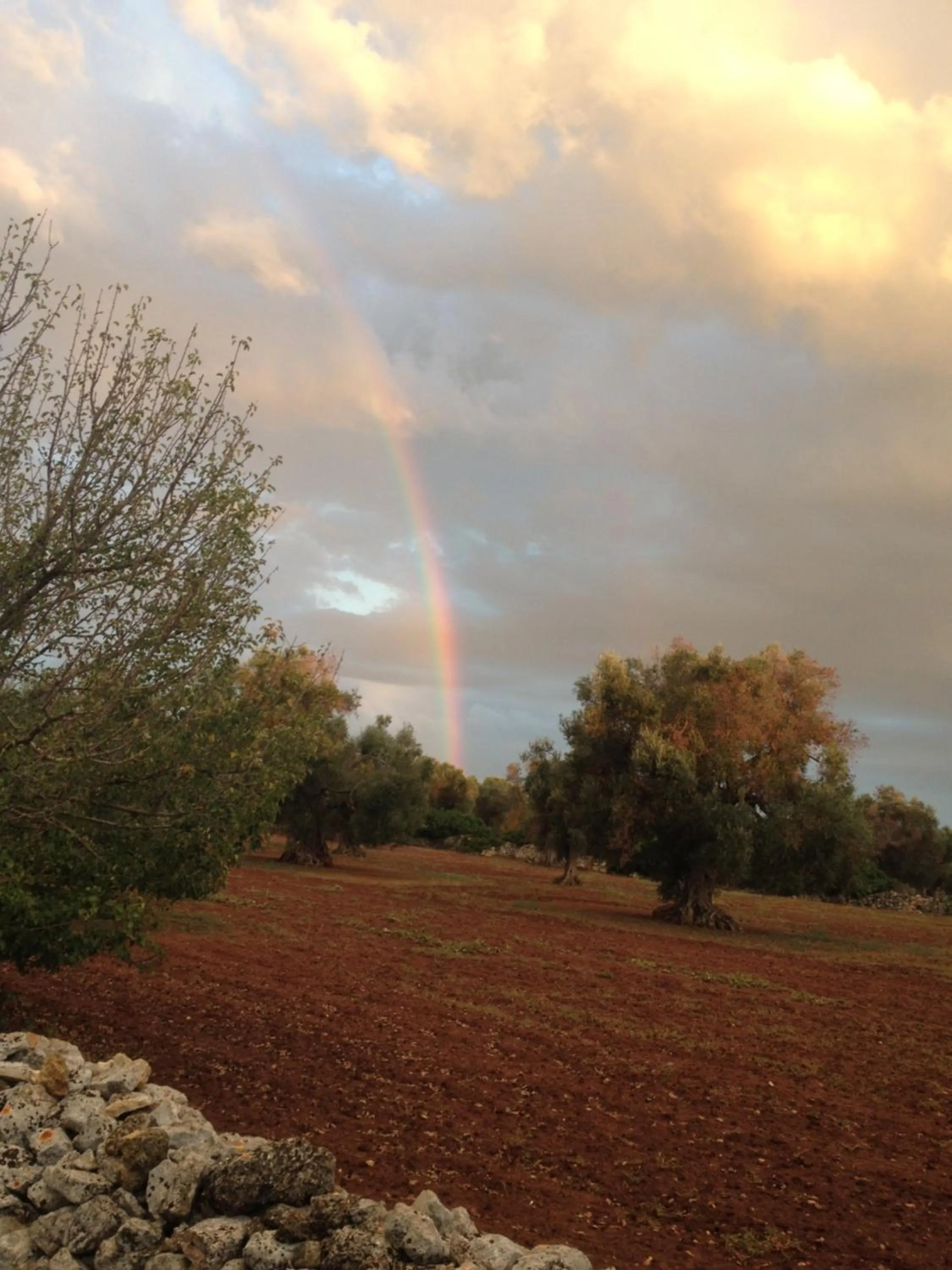 Felline In Bed&Breakfast Dimora di Charme el Salento