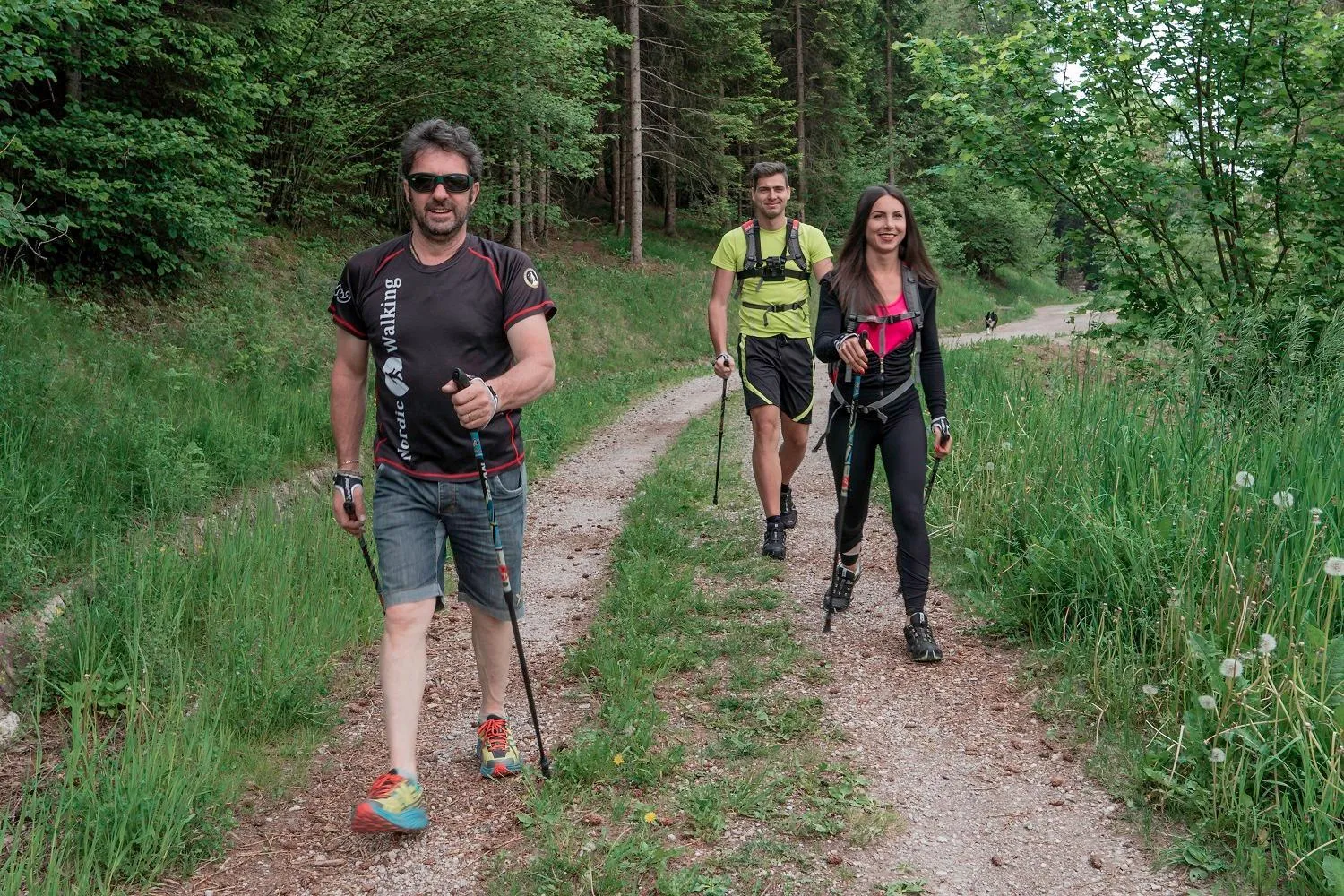 Natural landscape in Albergo Cavallino Bianco