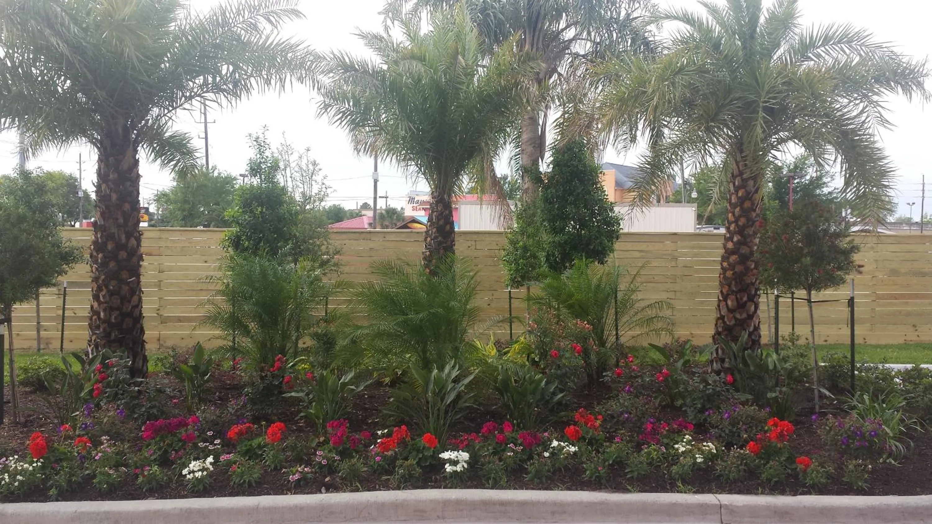 Natural landscape in Palace Inn 290 & Jones Rd