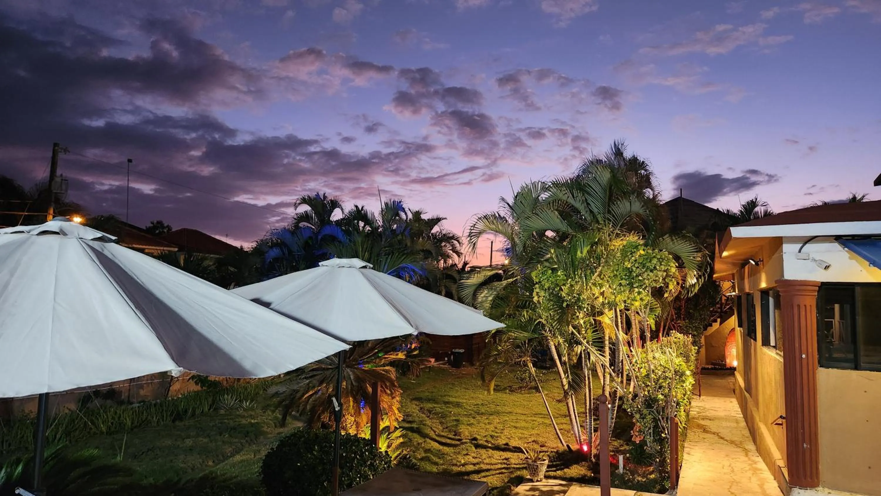 Garden in Hotel El Dorado