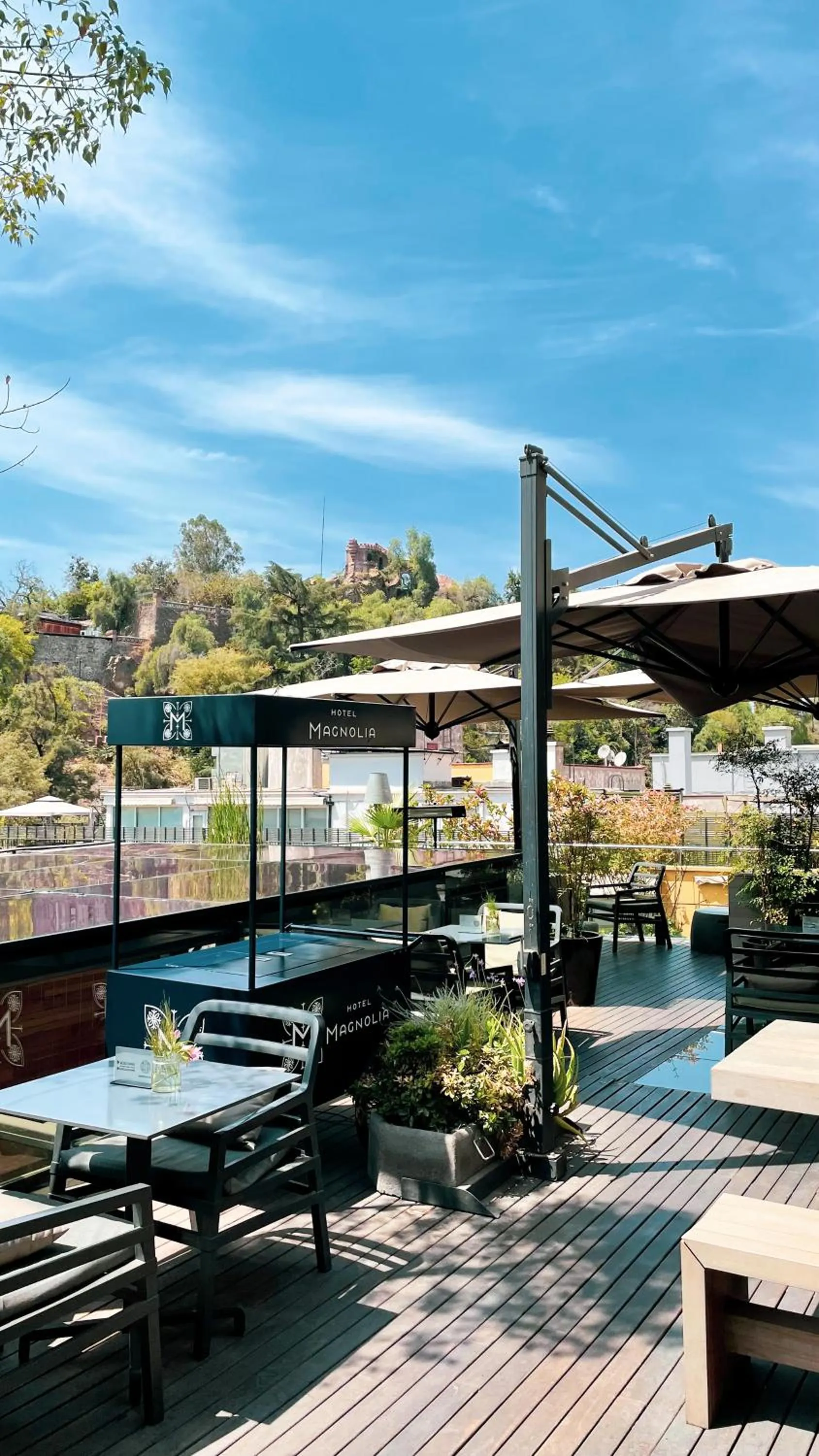 View (from property/room) in Hotel Magnolia Santiago