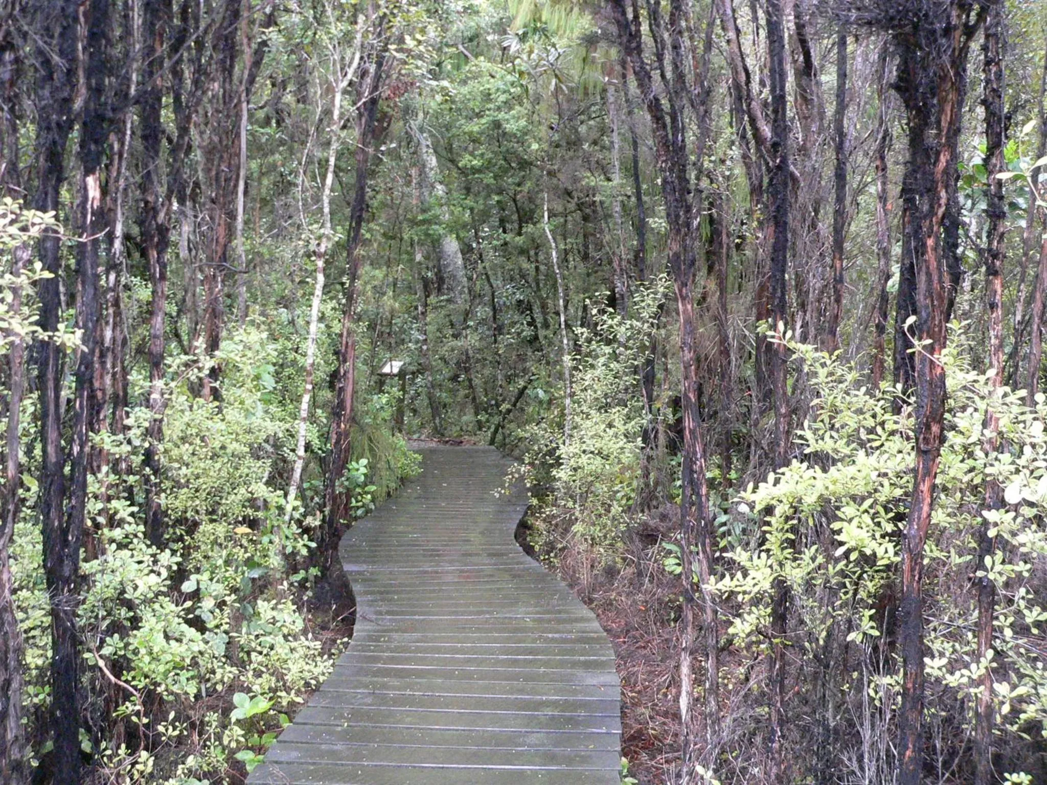 Spring in Surat Bay Lodge, Motel and Backpackers