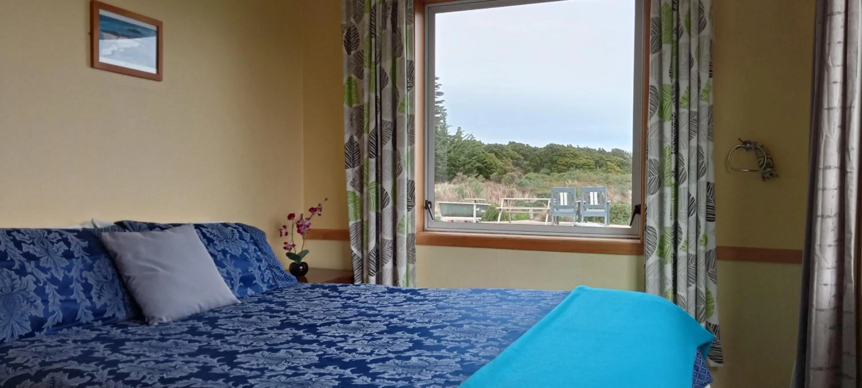 View (from property/room), Bed in Surat Bay Lodge, Motel and Backpackers