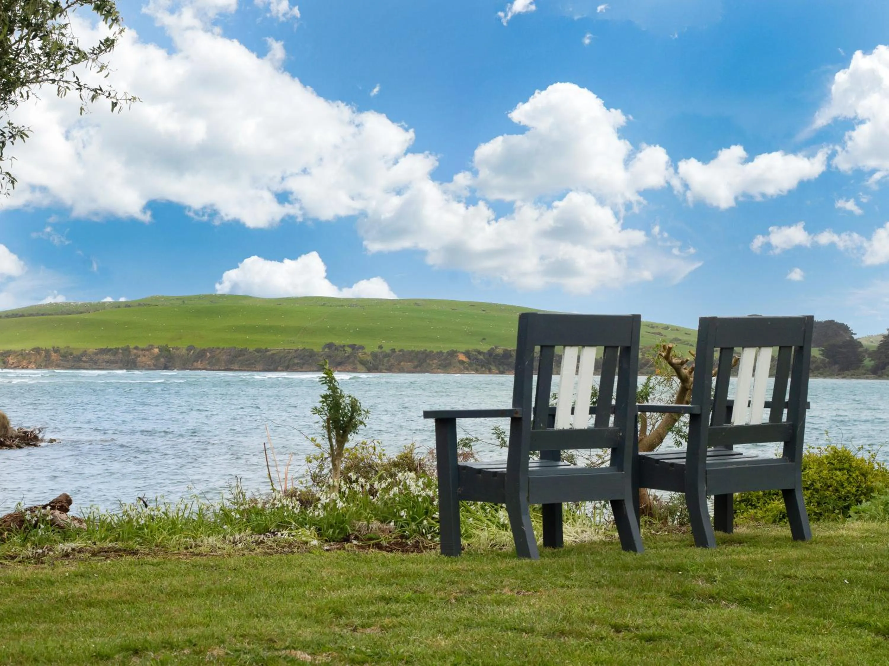 Natural landscape in Surat Bay Lodge, Motel and Backpackers