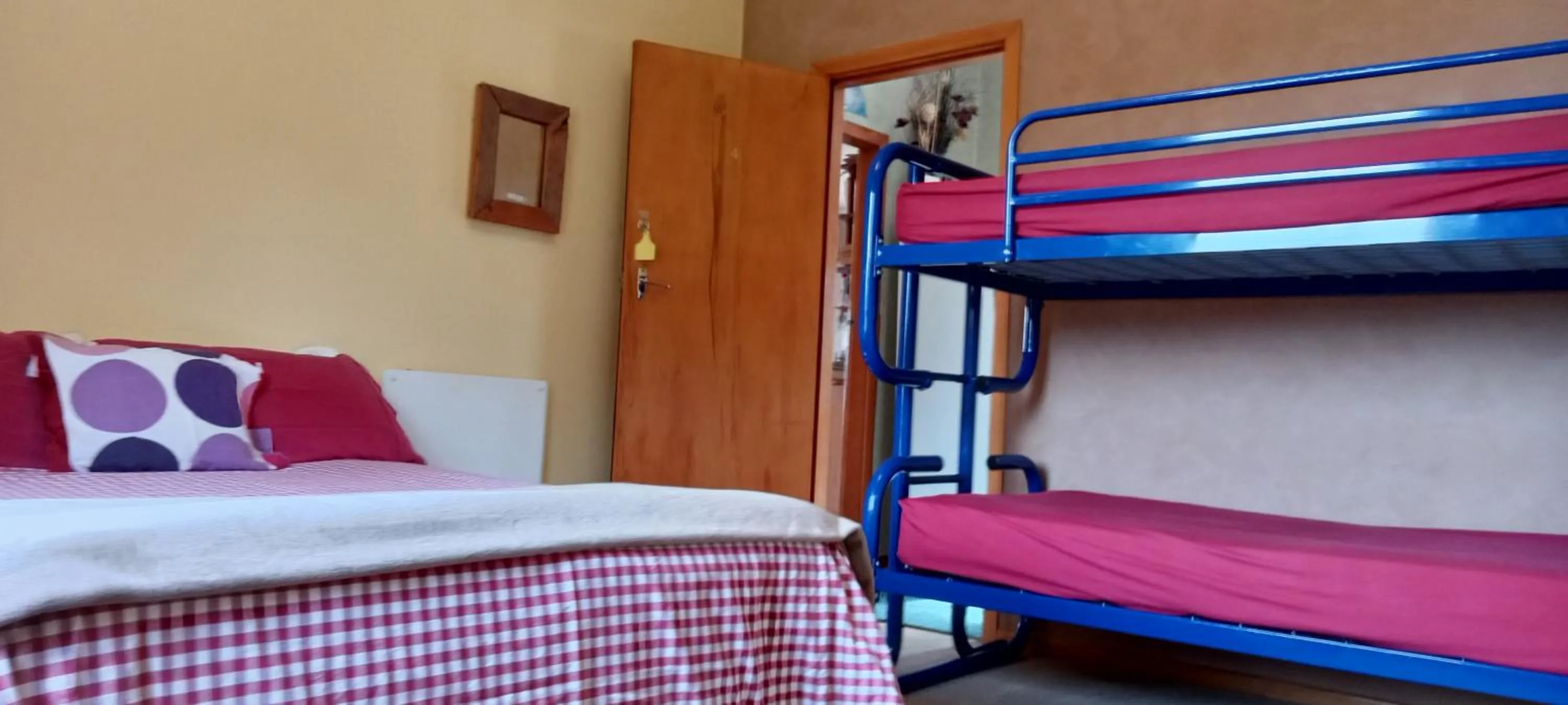 Bed in Surat Bay Lodge, Motel and Backpackers