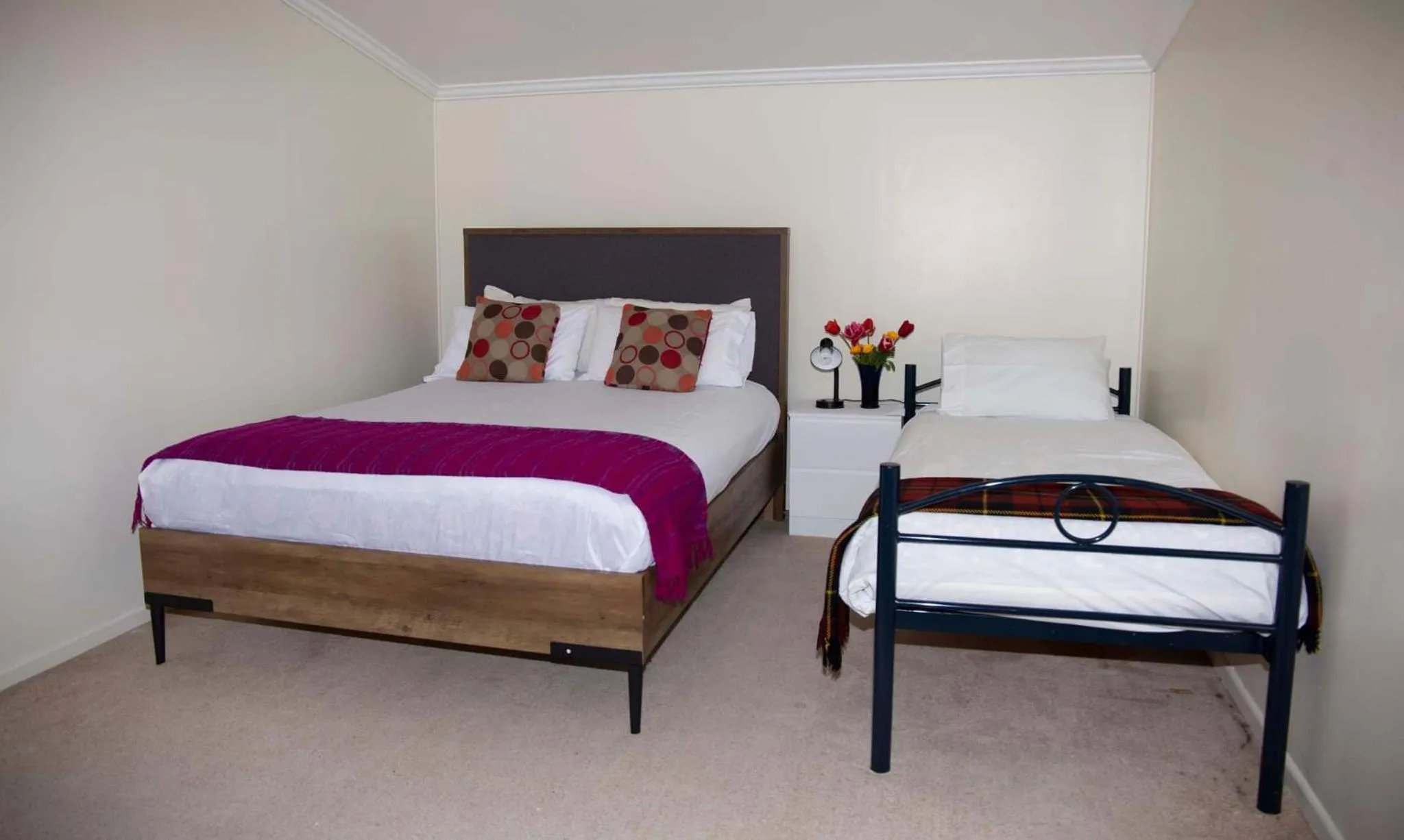 Bed in Surat Bay Lodge, Motel and Backpackers