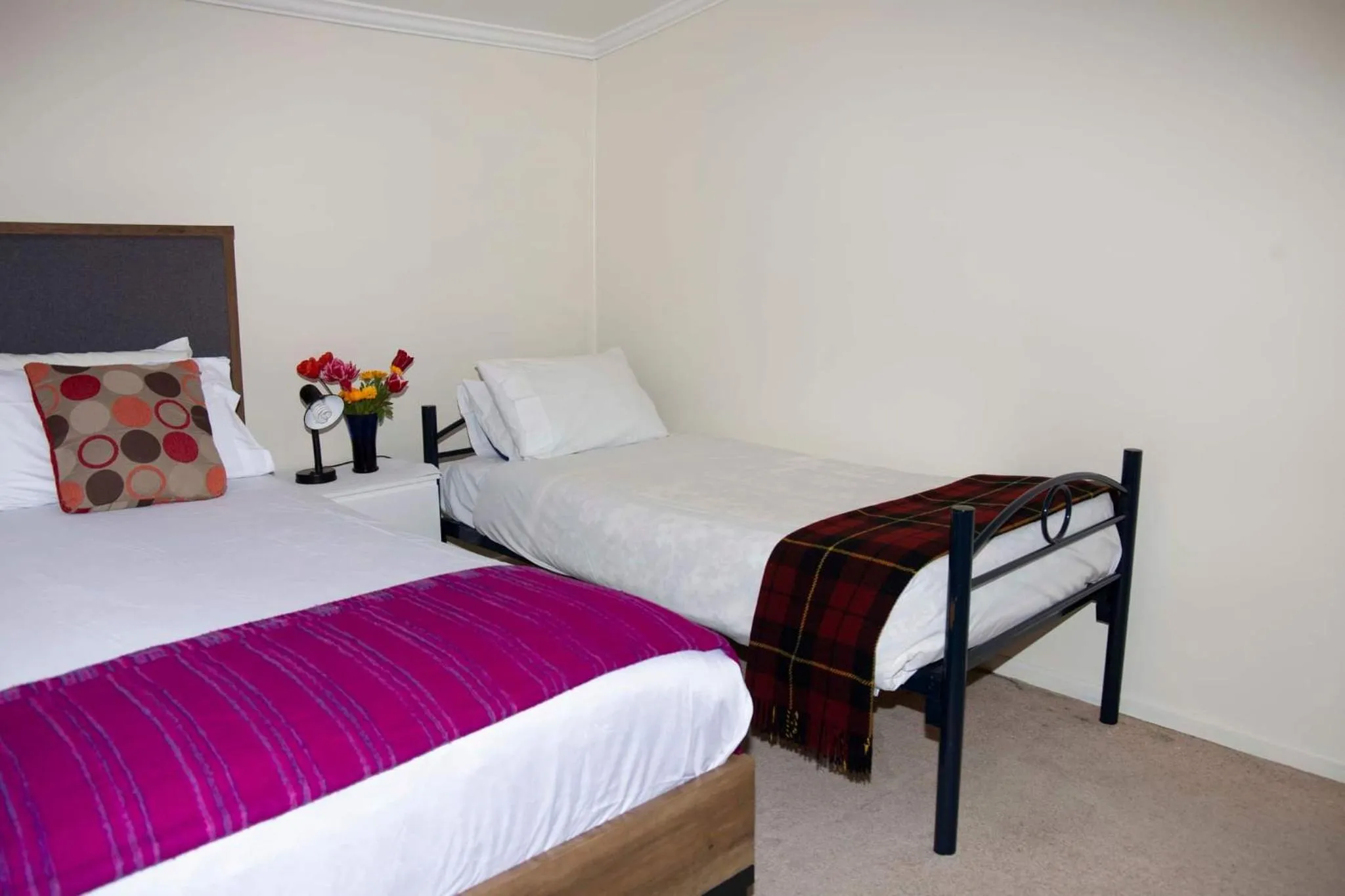 Bed in Surat Bay Lodge, Motel and Backpackers