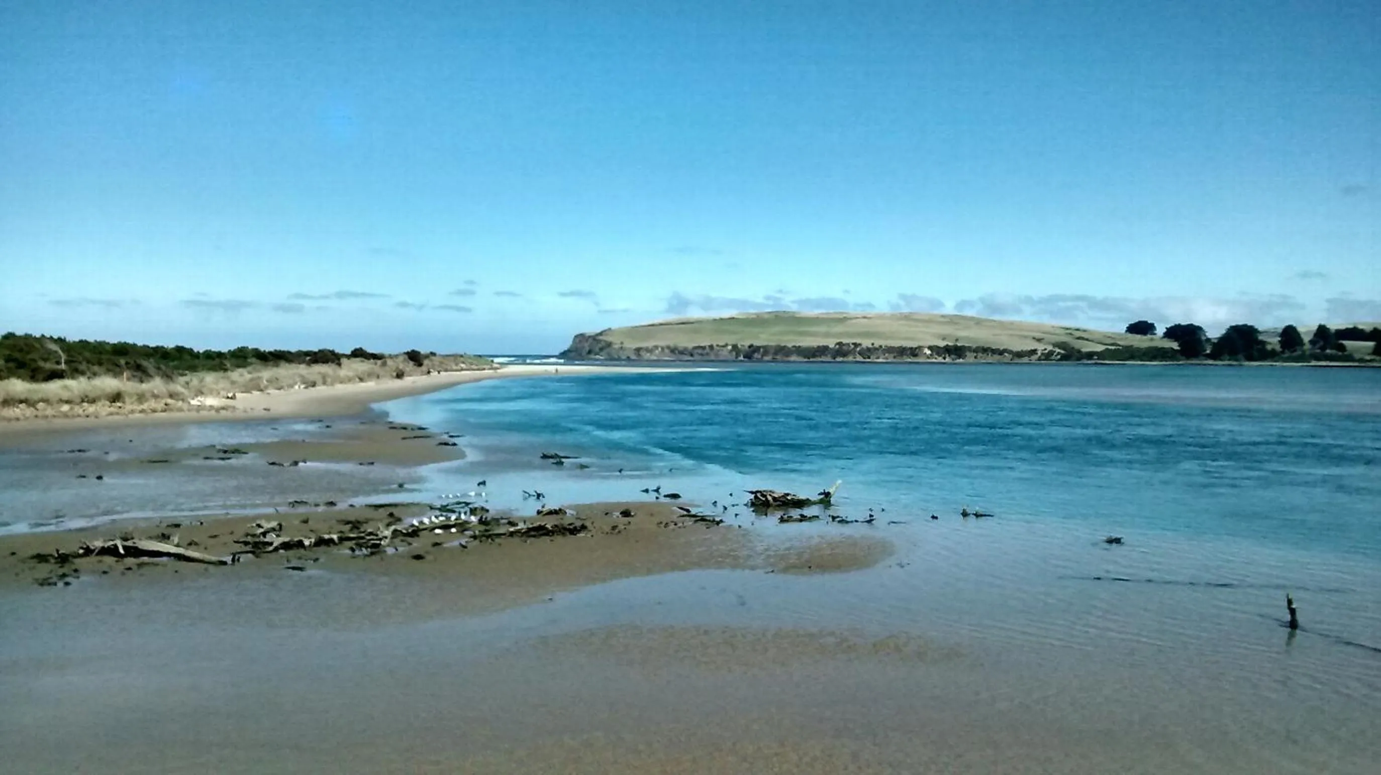 Property building in Surat Bay Lodge, Motel and Backpackers