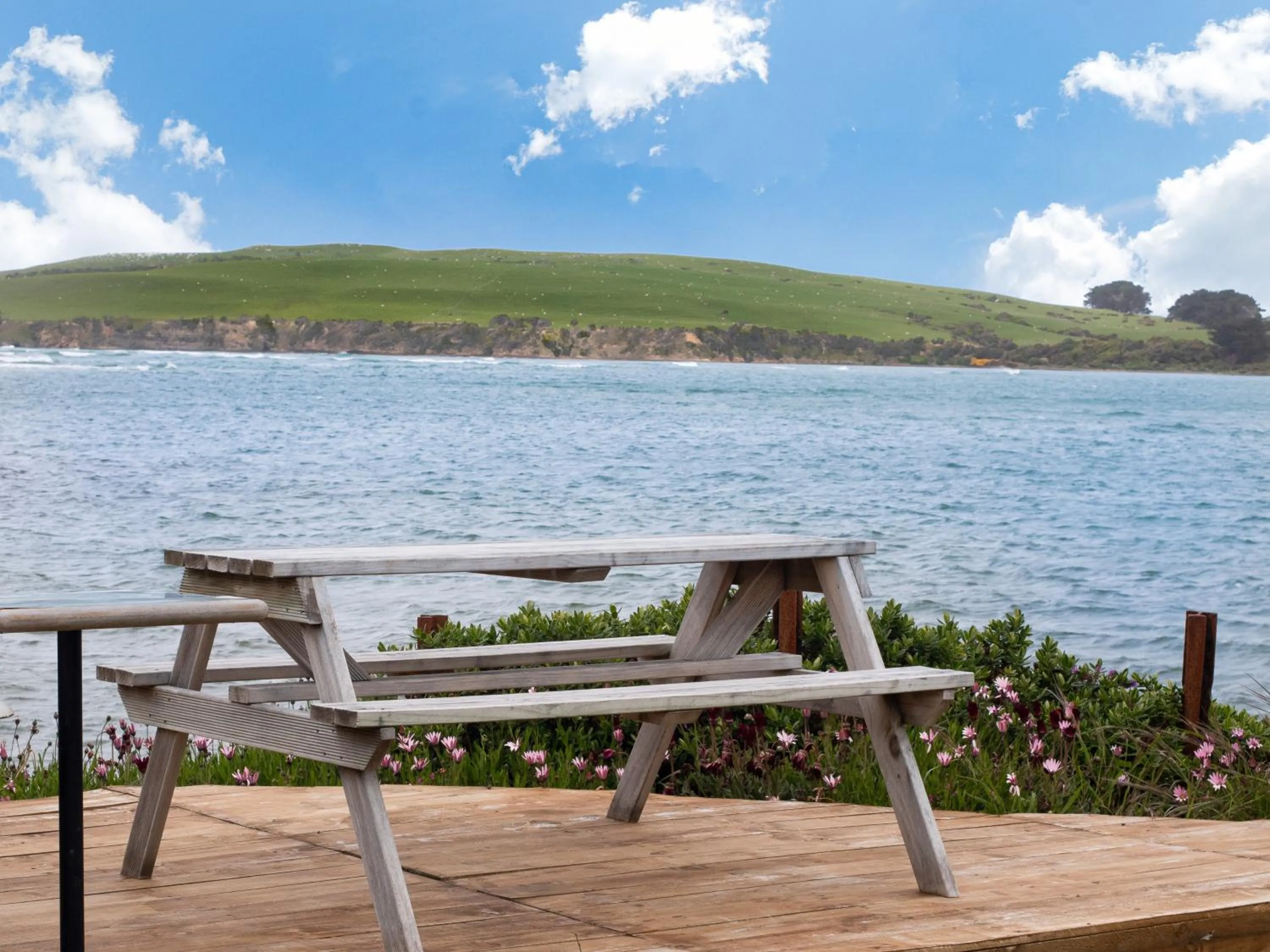 Natural landscape in Surat Bay Lodge, Motel and Backpackers