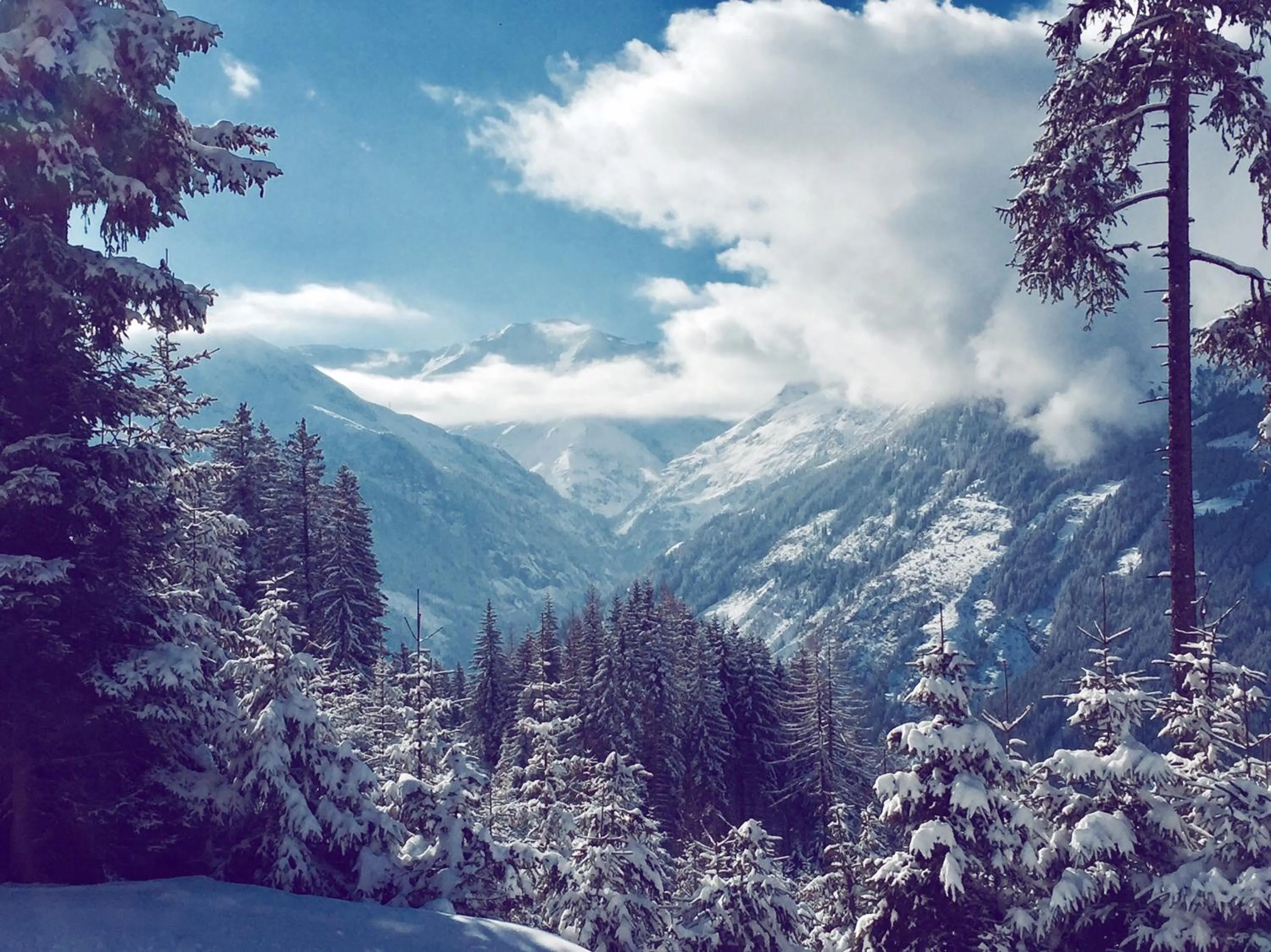 Natural landscape in Das REGINA Boutiquehotel