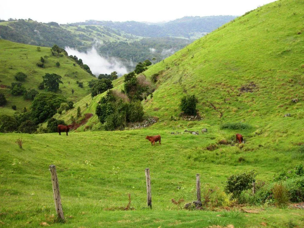 Day in Top Of The Hill