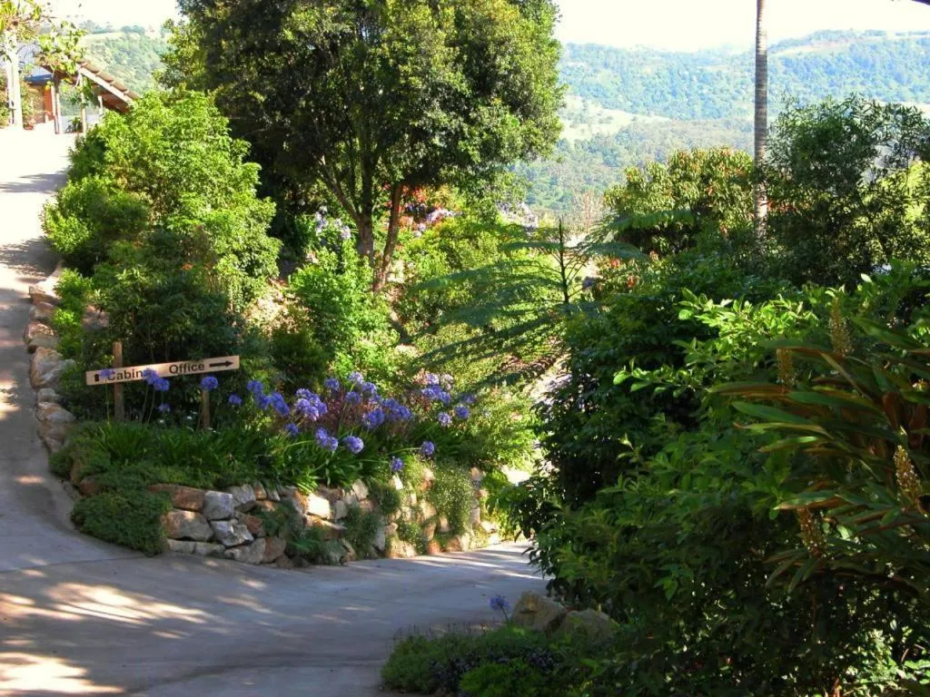 Day in Top Of The Hill