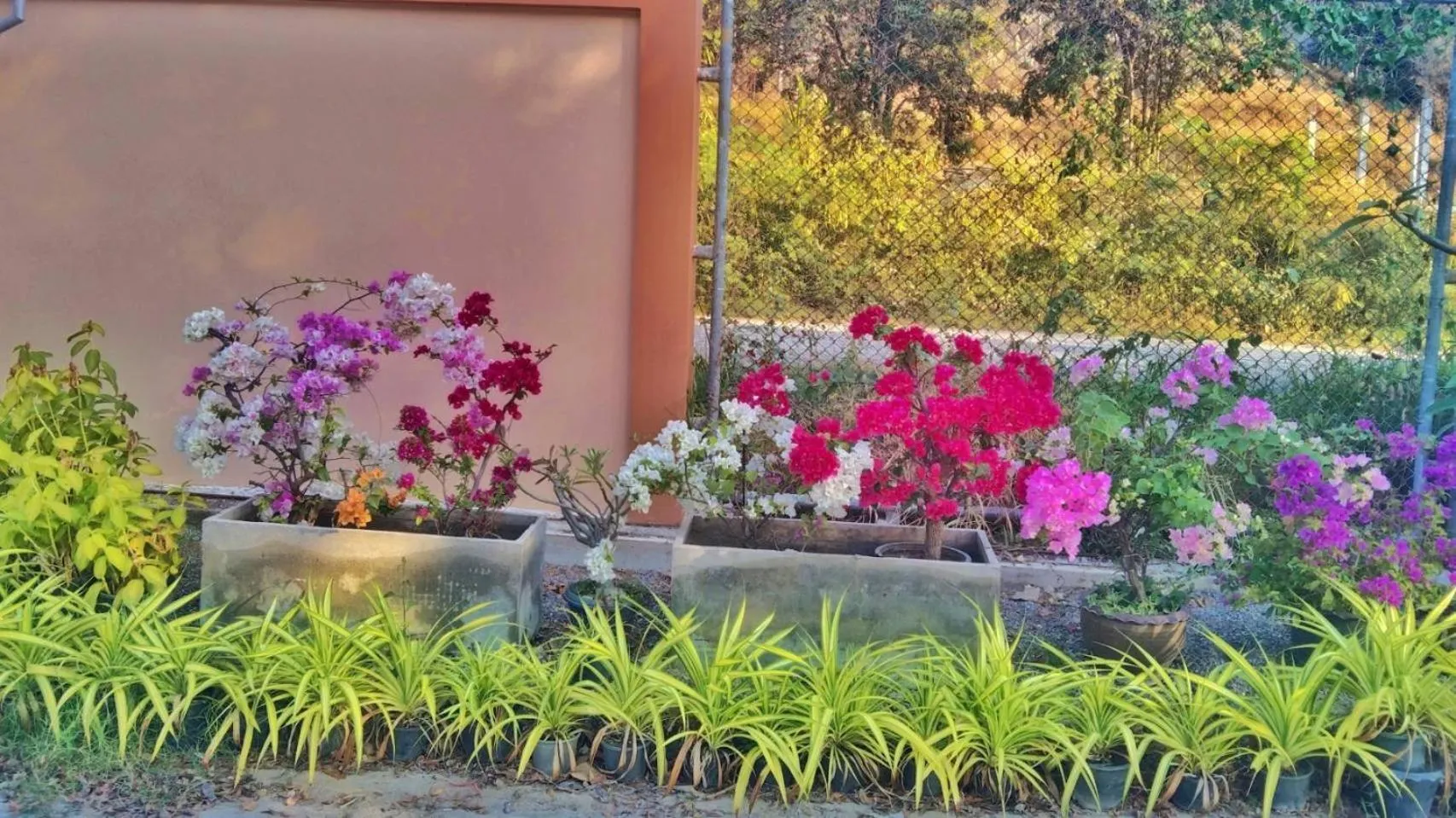 Property building in Elegancy Resort Hua Hin