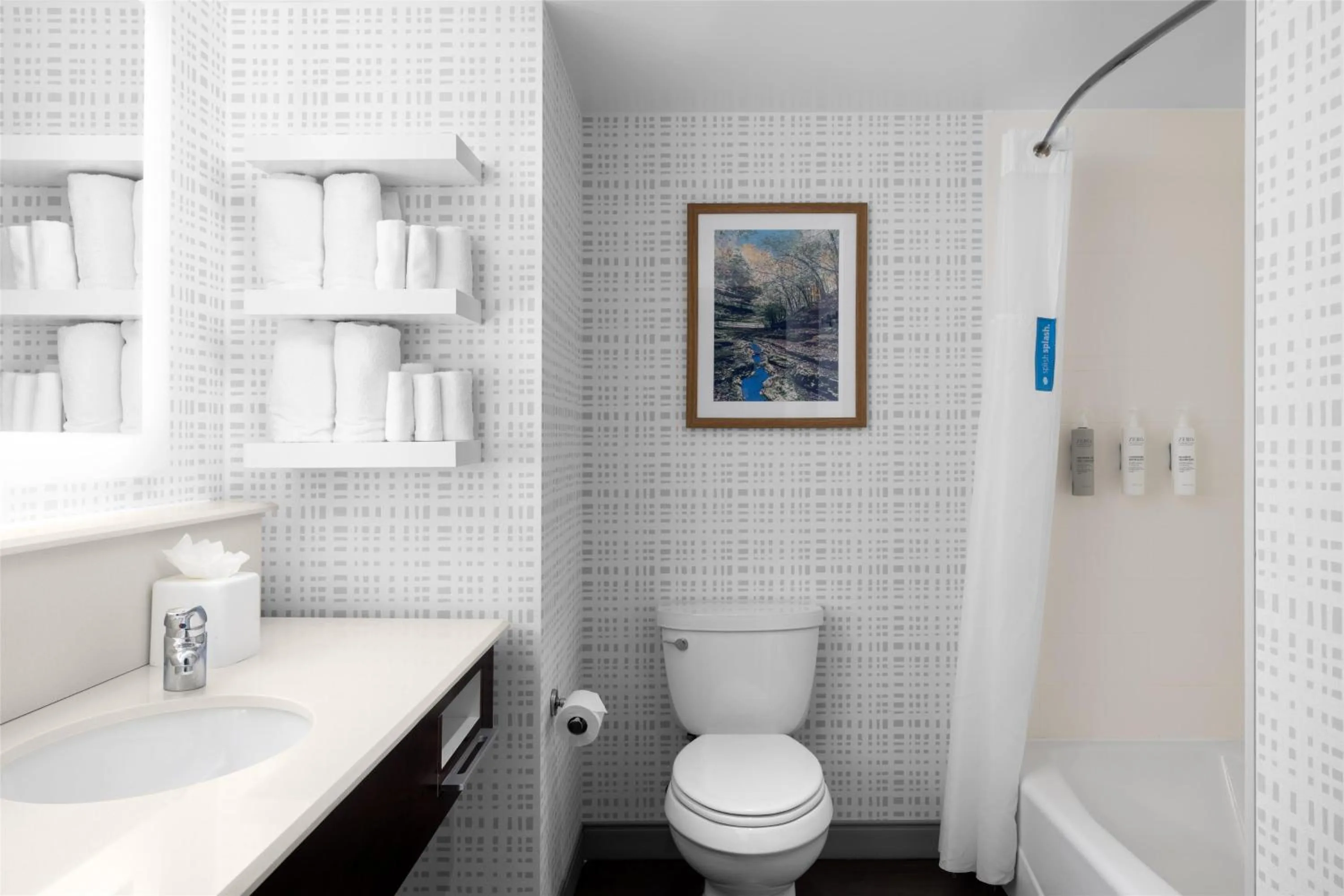 Bathroom in Hampton Inn Lexington Medical Center, KY