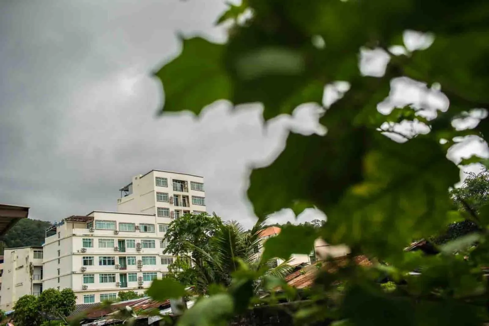 Property building in The C Park