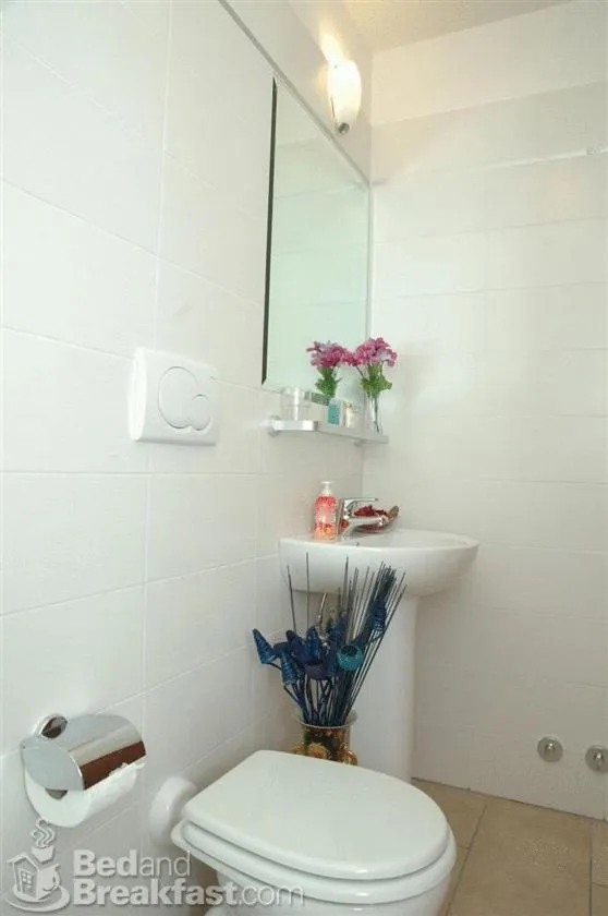 Bathroom in Cesar Palace Guesthouse