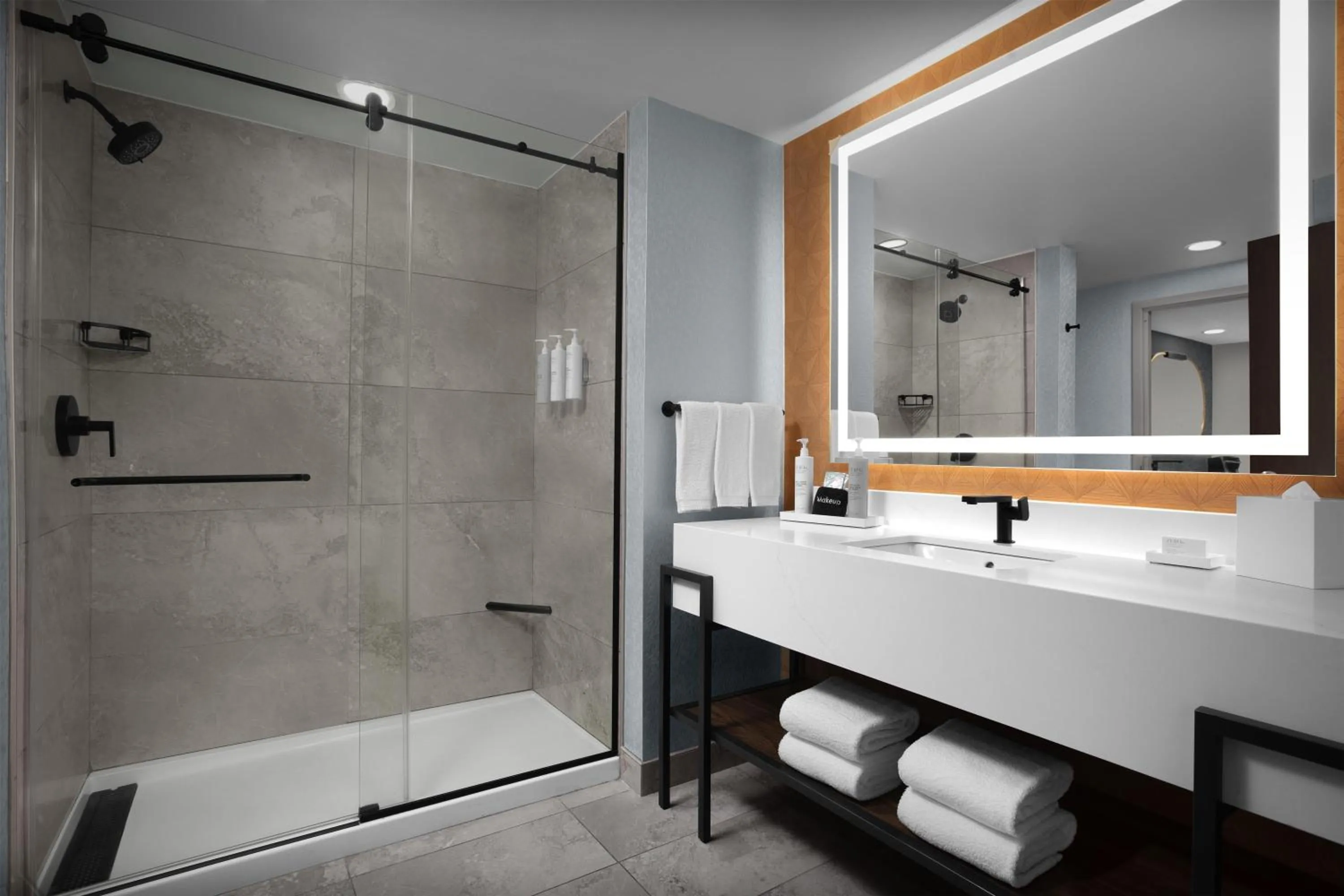 Bathroom in Embassy Suites by Hilton Jackson North Ridgeland