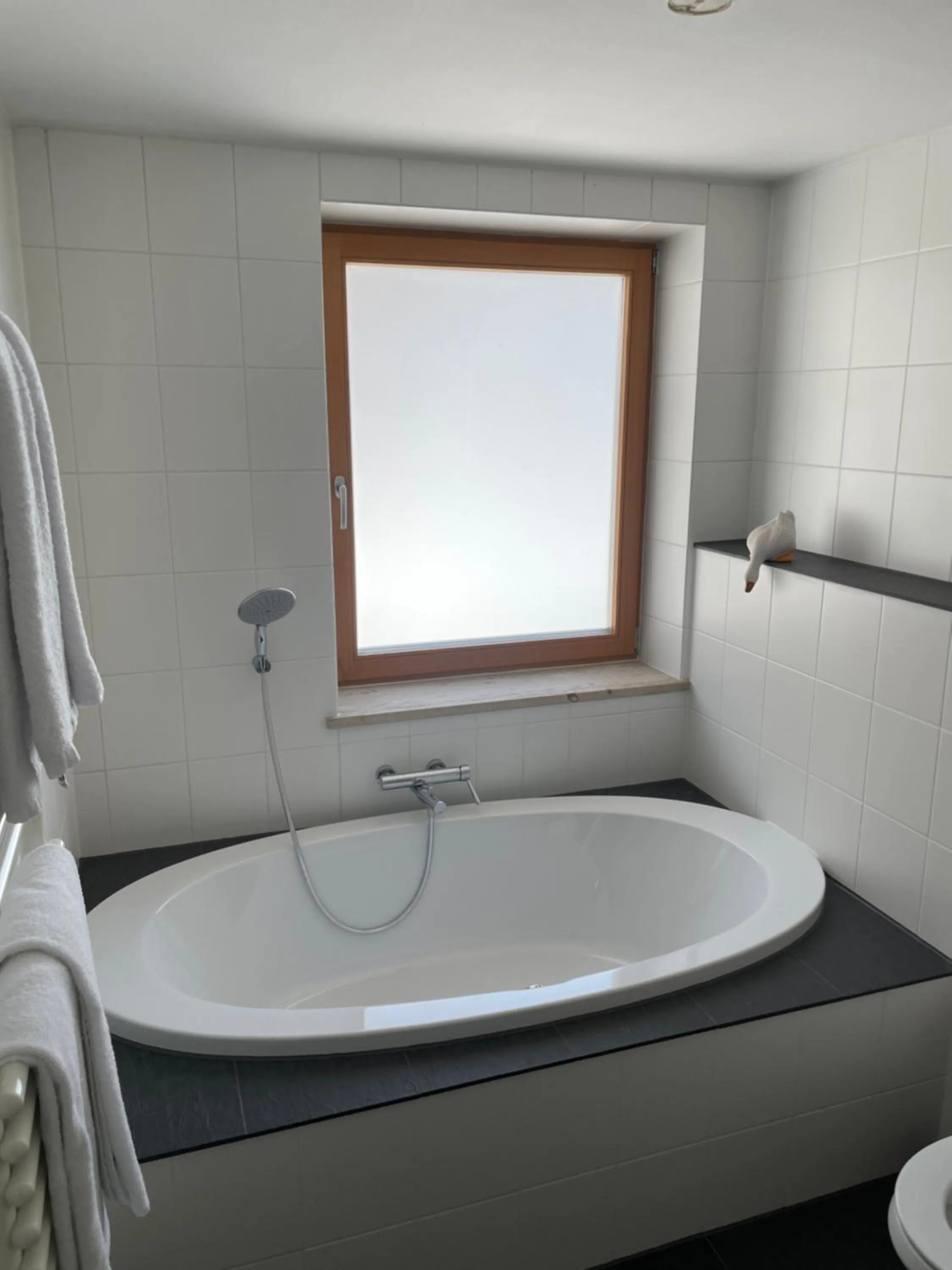 Hot Tub in Hotel Garni Landhaus Sonnenstern