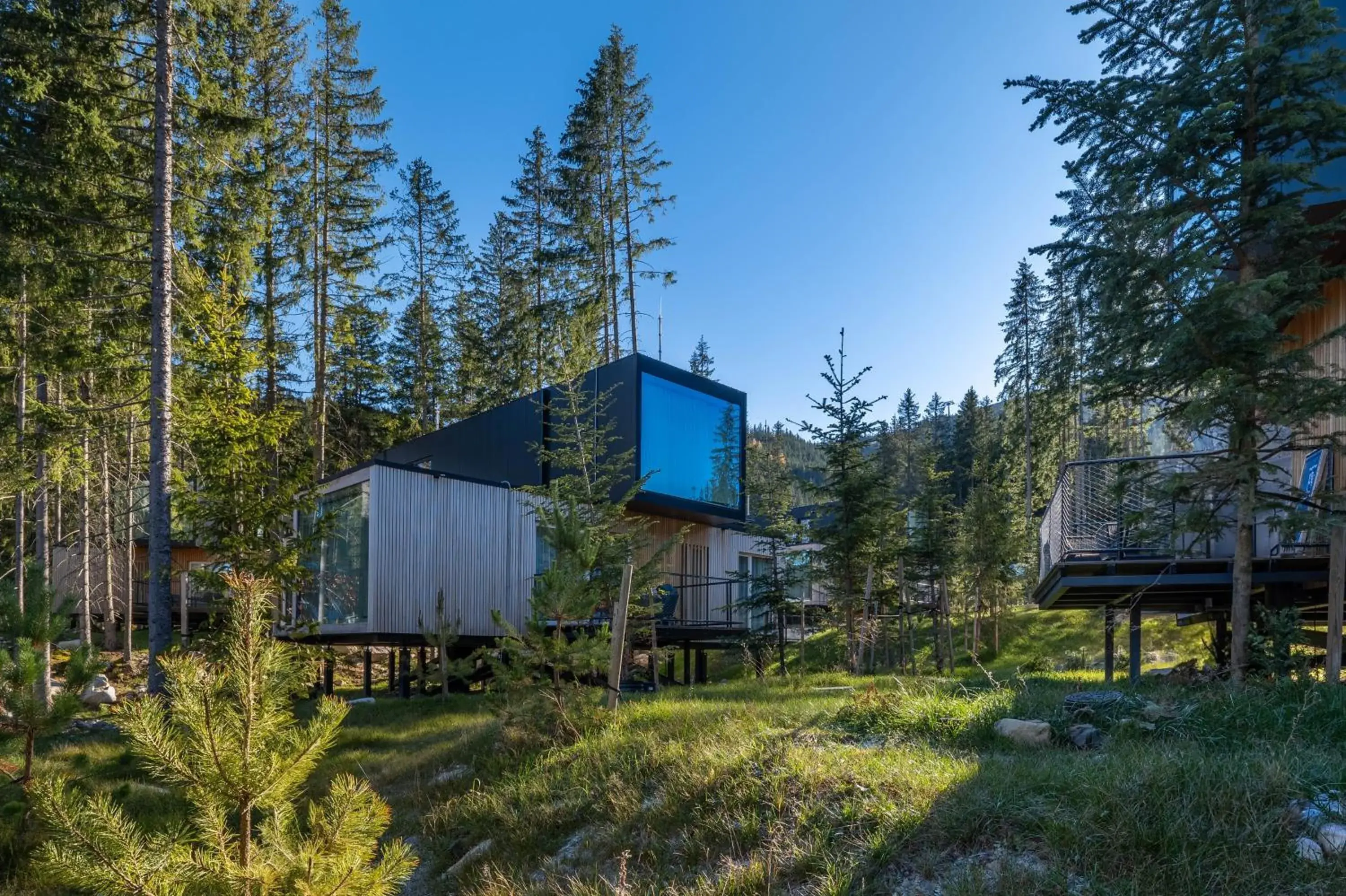 One-Bedroom Chalet in Hotel Björnson & Björnson TREE HOUSES Jasná One-Bedroom Chalet in Hotel Björnson & Björnson TREE HOUSES Jasná